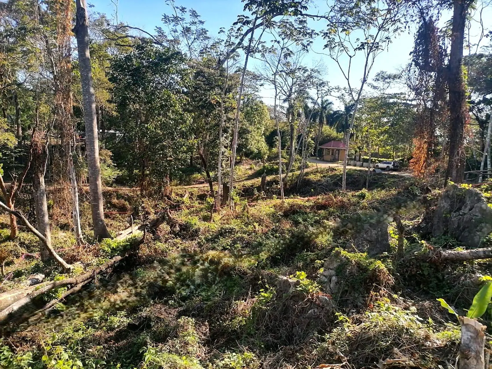 Amazing Tropical Mountain Lot for Sale - Santa Teresa - image 11