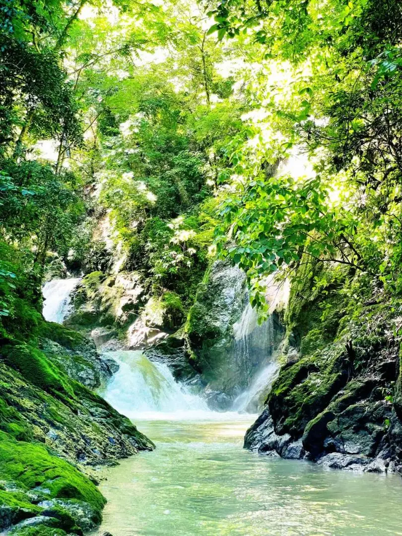 Ocean & Mountain View Property Near Santa Teresa with Impressive Building Platform Surrounded by Jungle - image 6