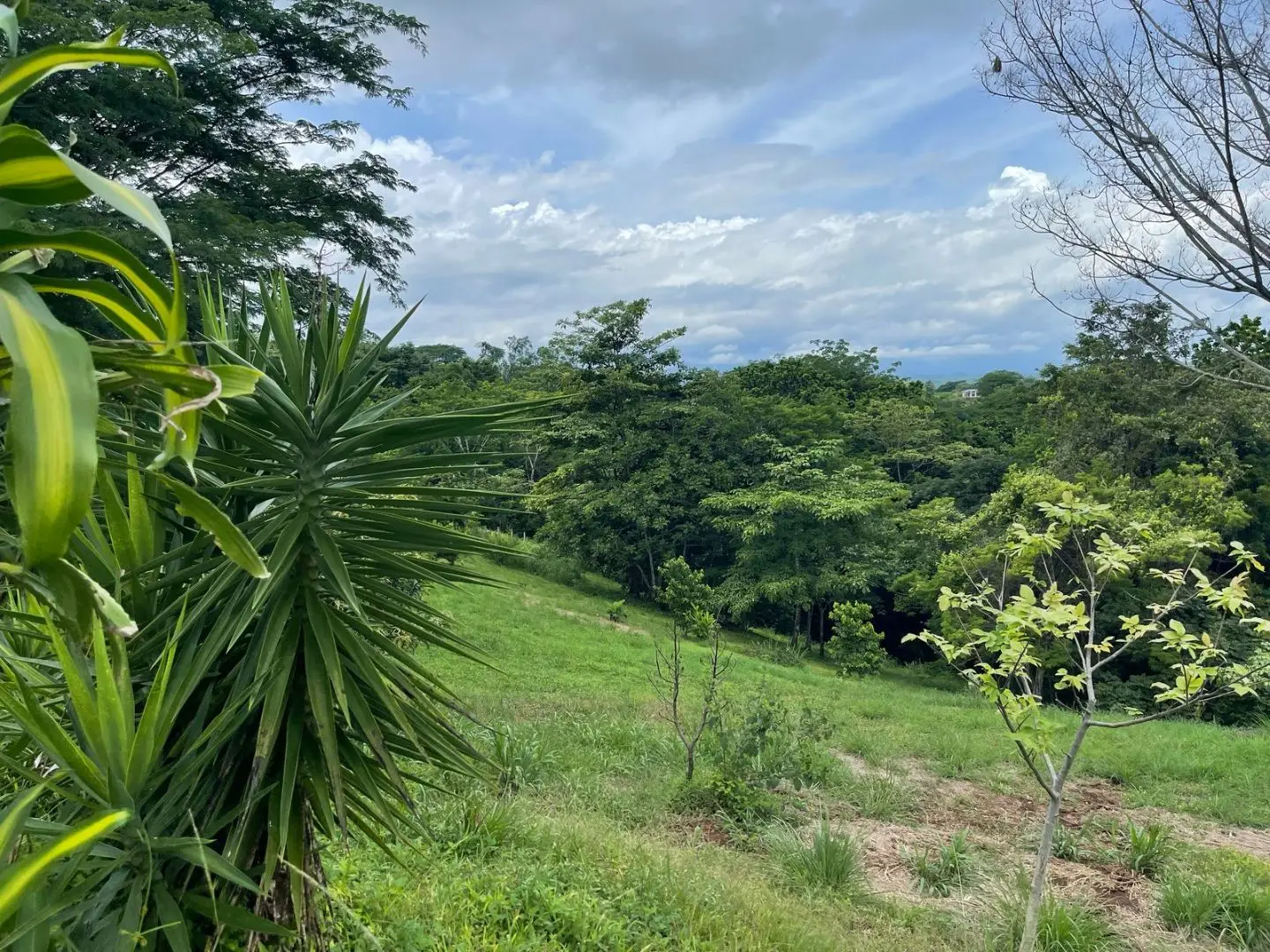 Hacienda Mi Quinta in San Mateo de Alajuela, Orotina - image 6