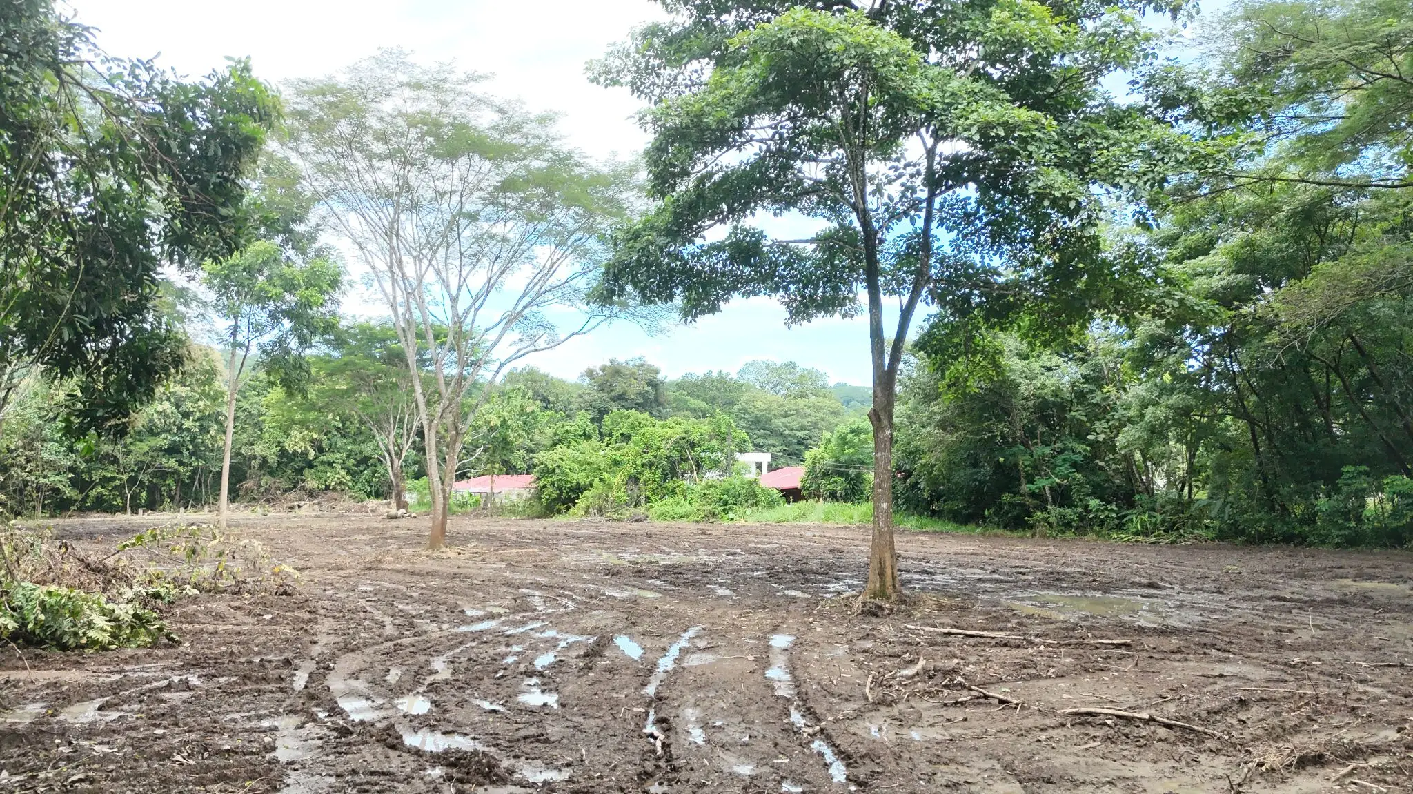 Prime Land for Sale in Tárcoles, Costa Rica - Ideal Development Opportunity! - image 10