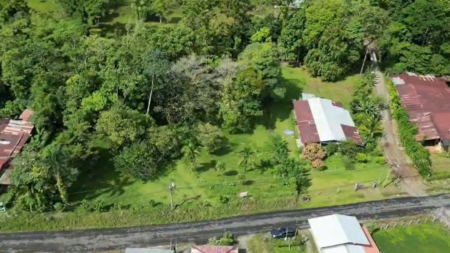 For Sale: Guapiles, Limón: Vast 6.2 Hectare Farm - image 10