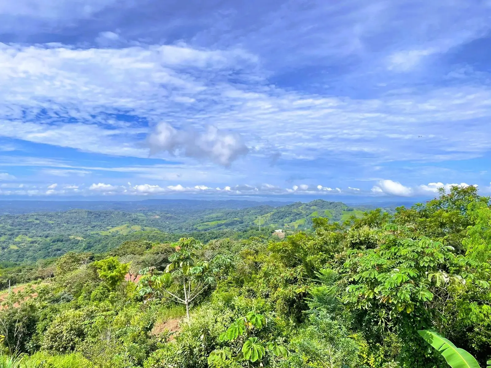 HOUSE FOR SALE WITH SPECTACULAR OCEAN VIEWS – SAN RAMON, ALAJUELA - image 3