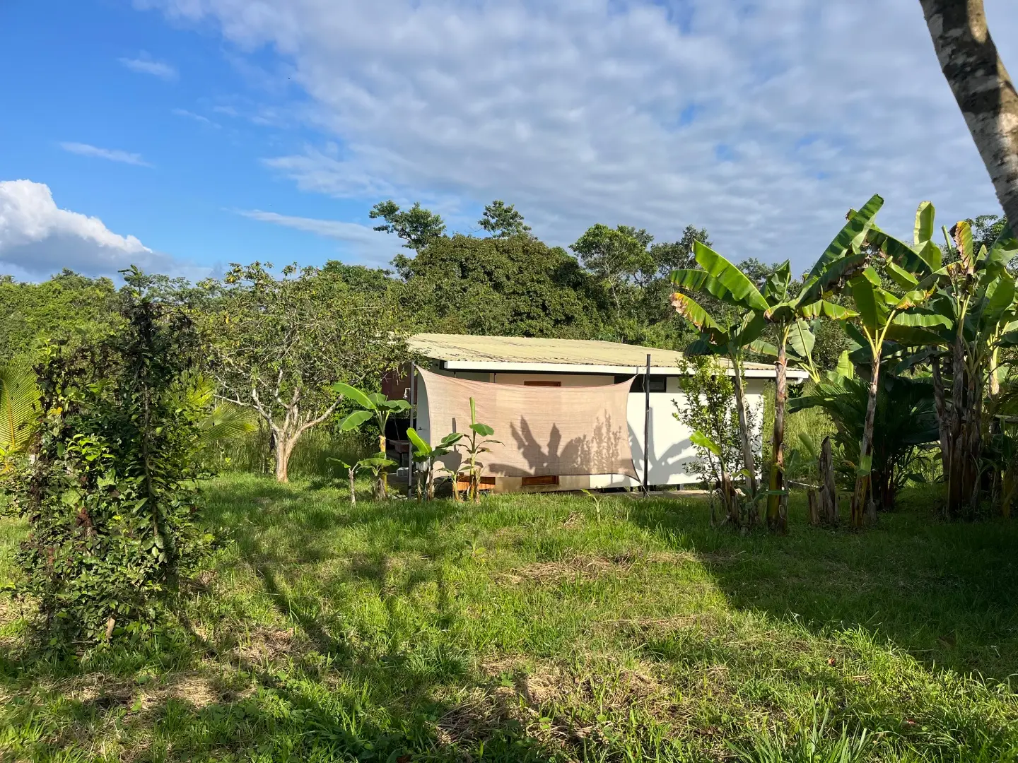 Two New Homes Near Santa Teresa - Income Property in Delicias  - image 7