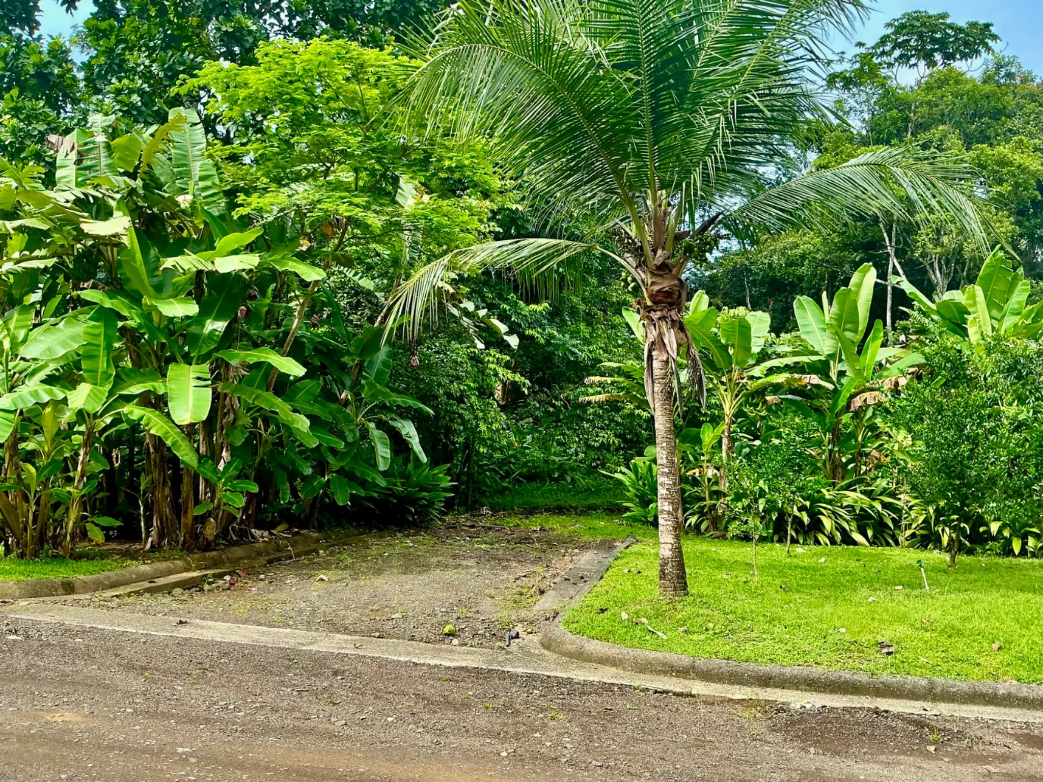  Lot for Sale in Plantation Acres - image 4