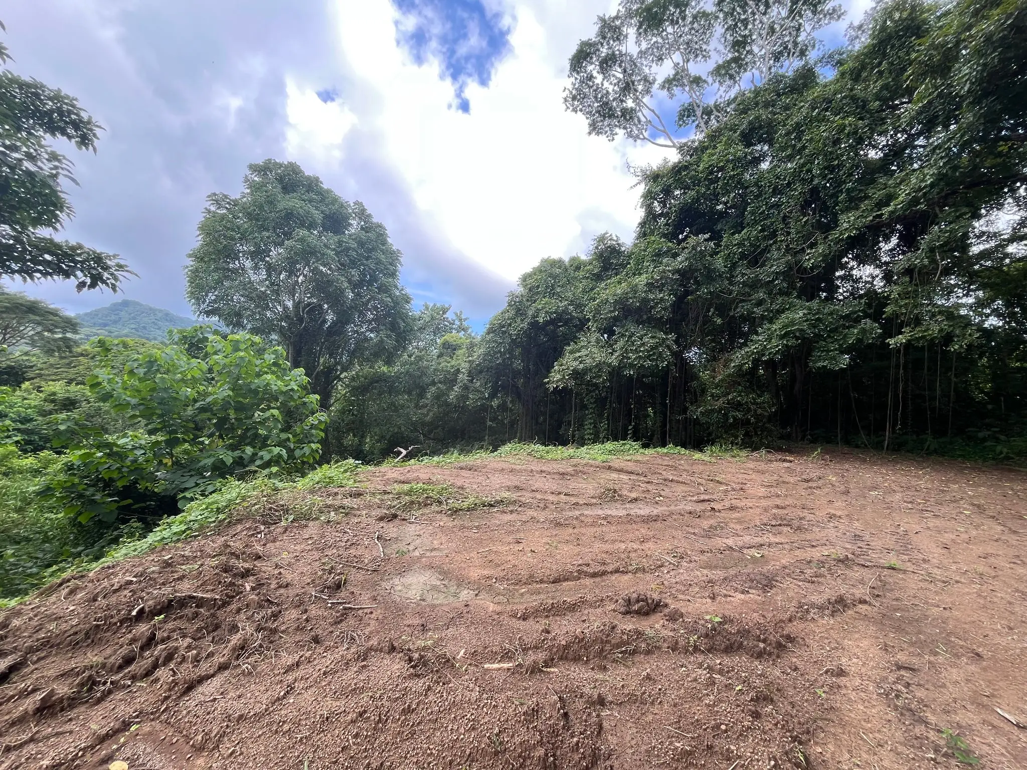 Enchanting 9,800 m² Land Surrounded by Jungle and Nature. A Peaceful Retreat Near Santa Teresa, Mal País, and Cabuya - image 12