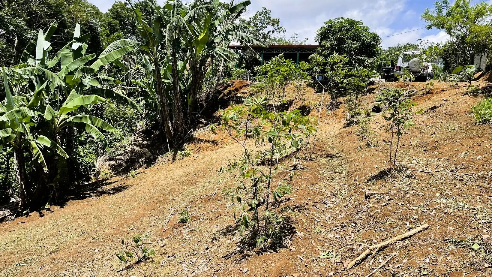 LOT FOR SALE IN ZARAGOZA, PALMARES  - image 6