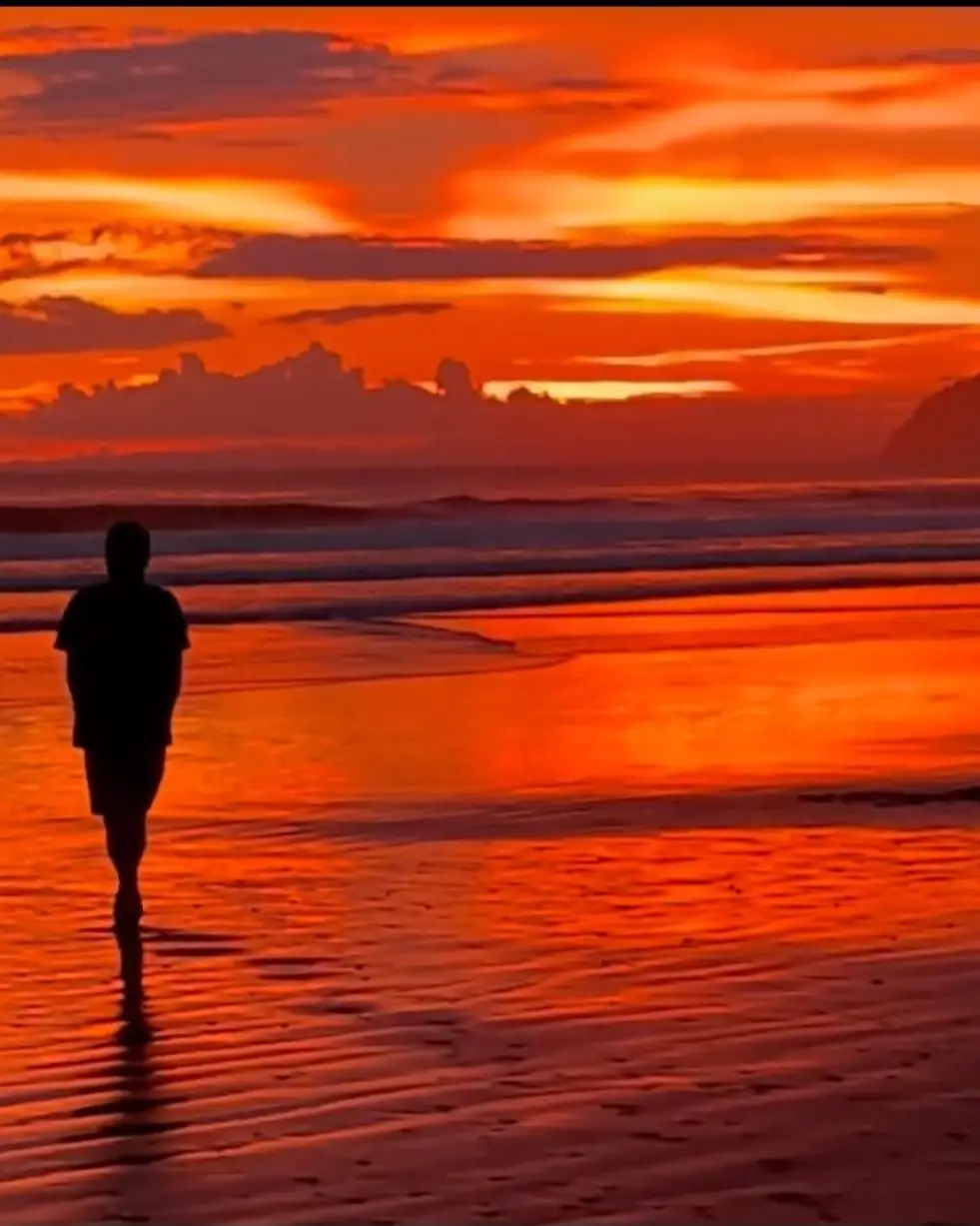 Natural paradise at just 5 minutes from Jaco - image 10