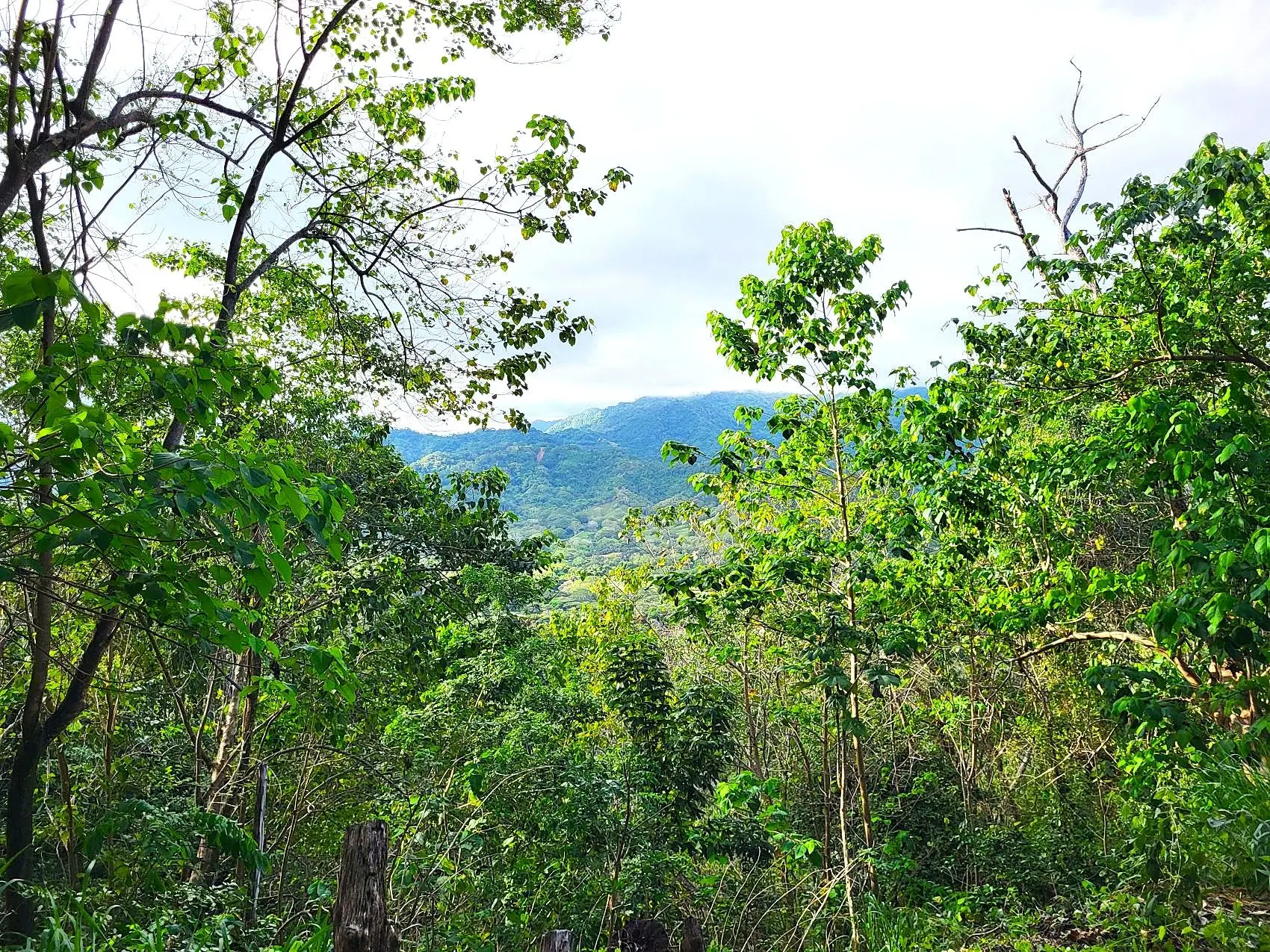 Mountaintop Ocean View Lot in Private, Gated Community Overlooking Tambor - image 7