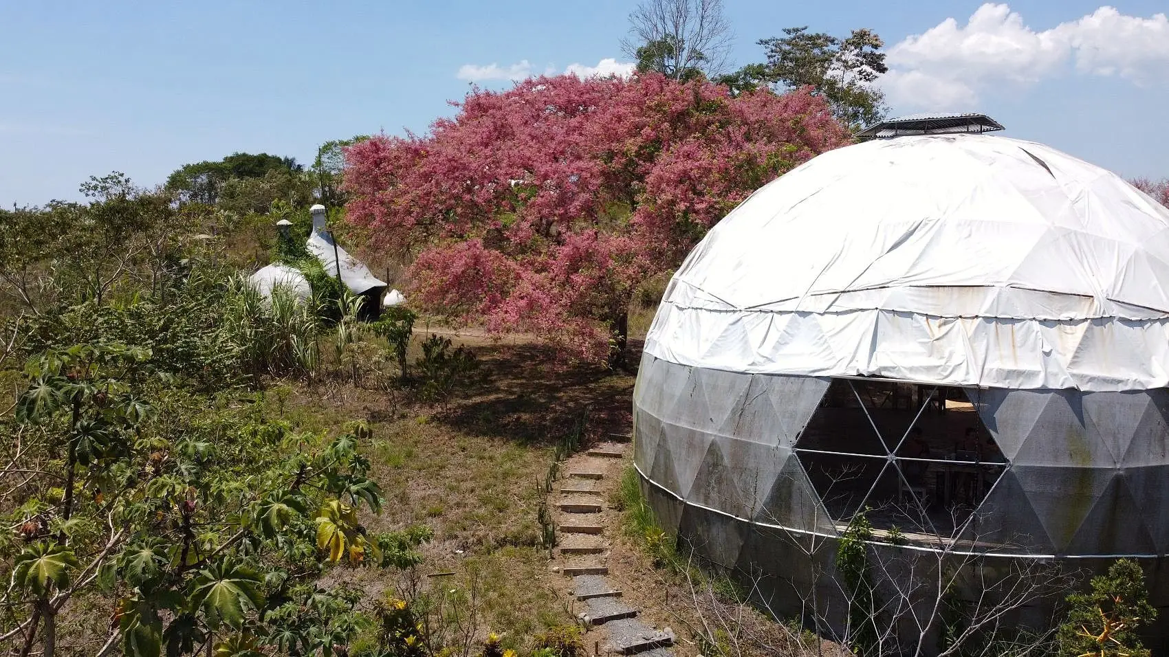 Incredible Artistic Resort-Style Property For Sale – San Isidro - image 10