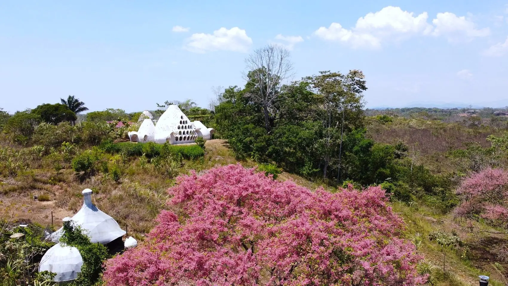 Incredible Artistic Resort-Style Property For Sale – San Isidro - image 15