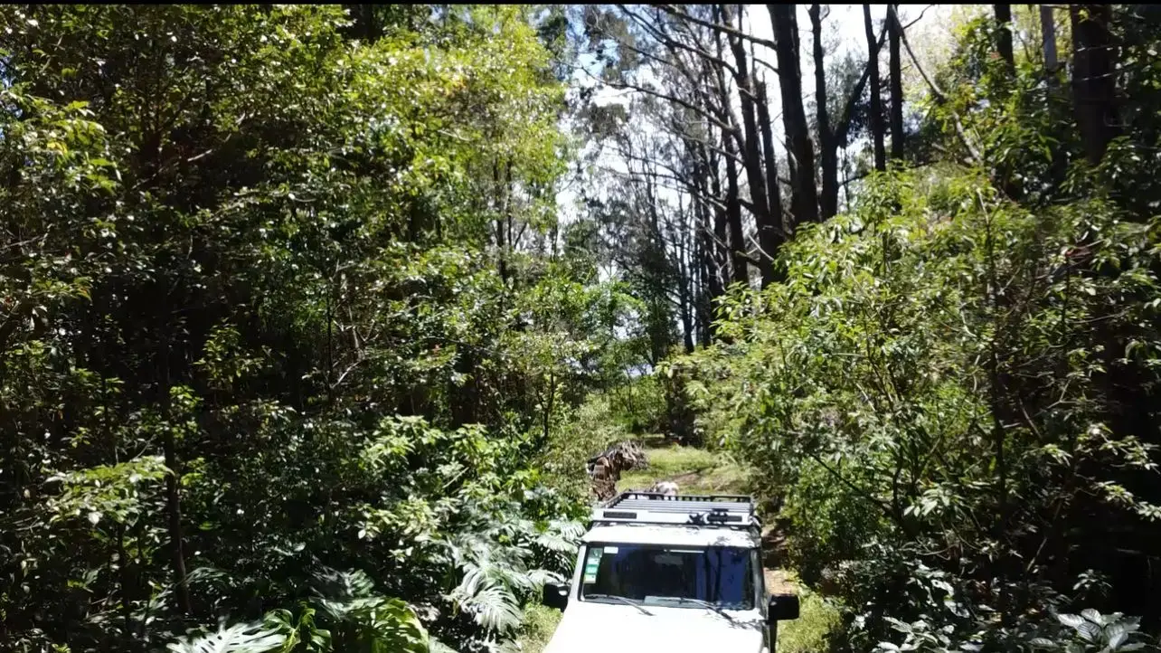 A Hidden Gem in the Heart of Nature | Land in San Rafael de Heredia - image 5