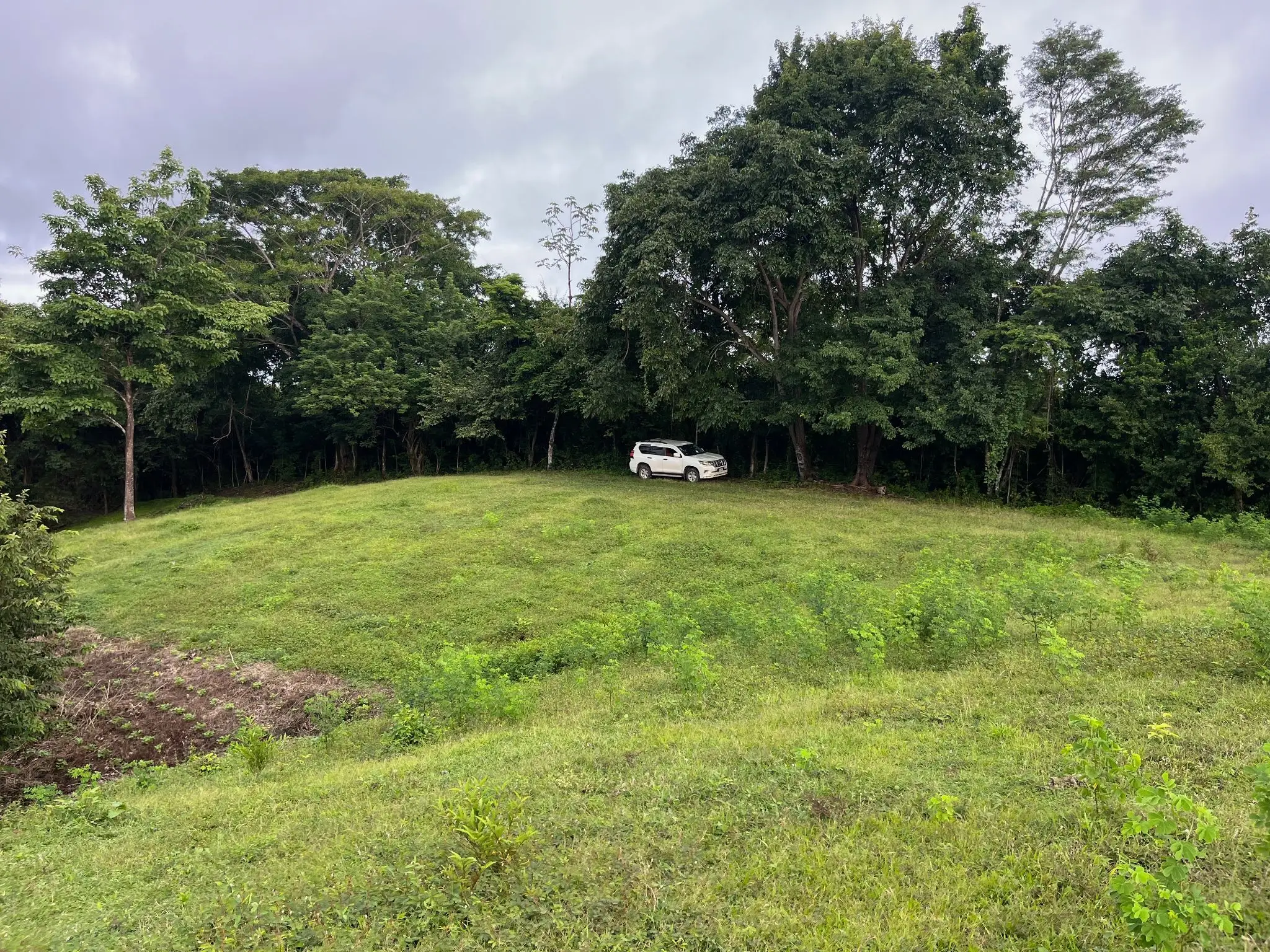 Exclusive Ocean View 2,7 hectares (6.8Acres) Estate Land in Playa Hermosa Hills - image 13