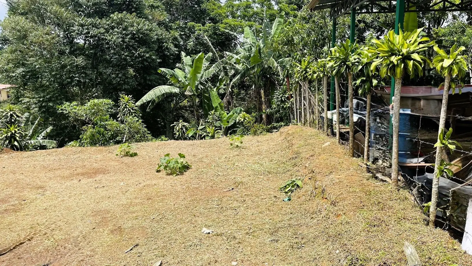 LOT FOR SALE IN ZARAGOZA, PALMARES  - image 2