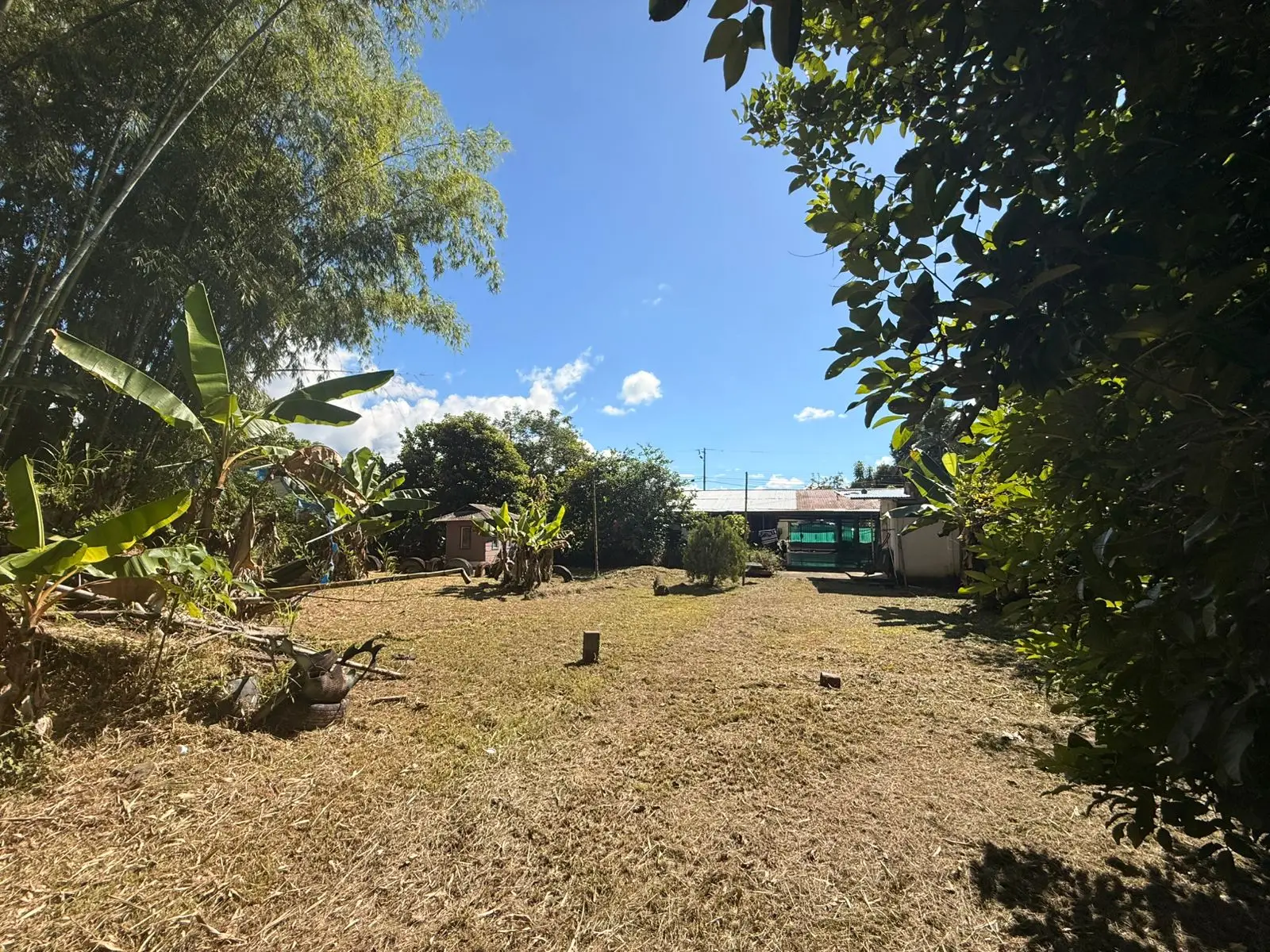 Incredible lot near the center - image 10