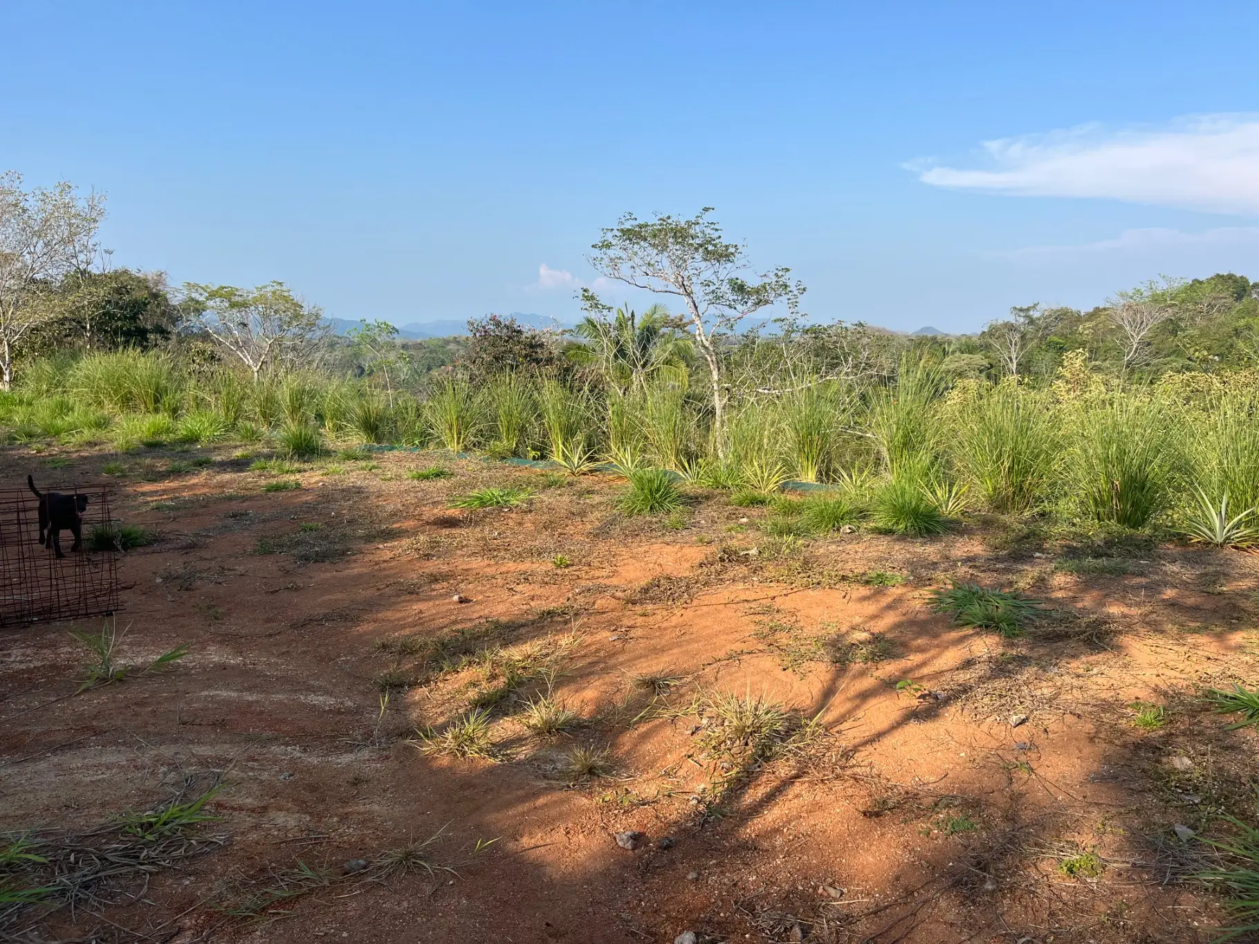 Lot with three building sites minutes to Hermosa in quiet neighborhood  - image 6