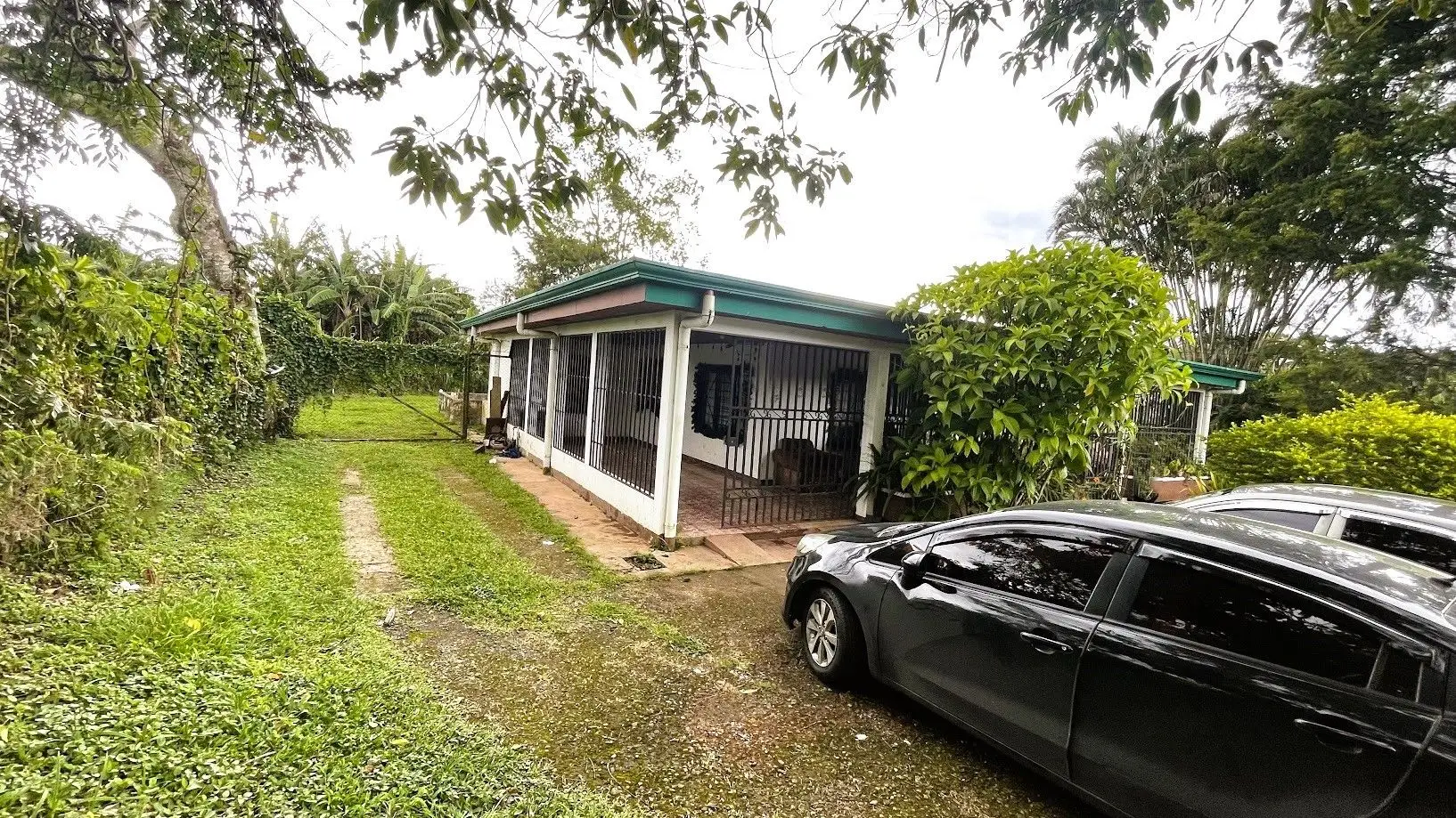 LAND WITH A HOUSE IN CARRIZAL, ALAJUELA - image 4