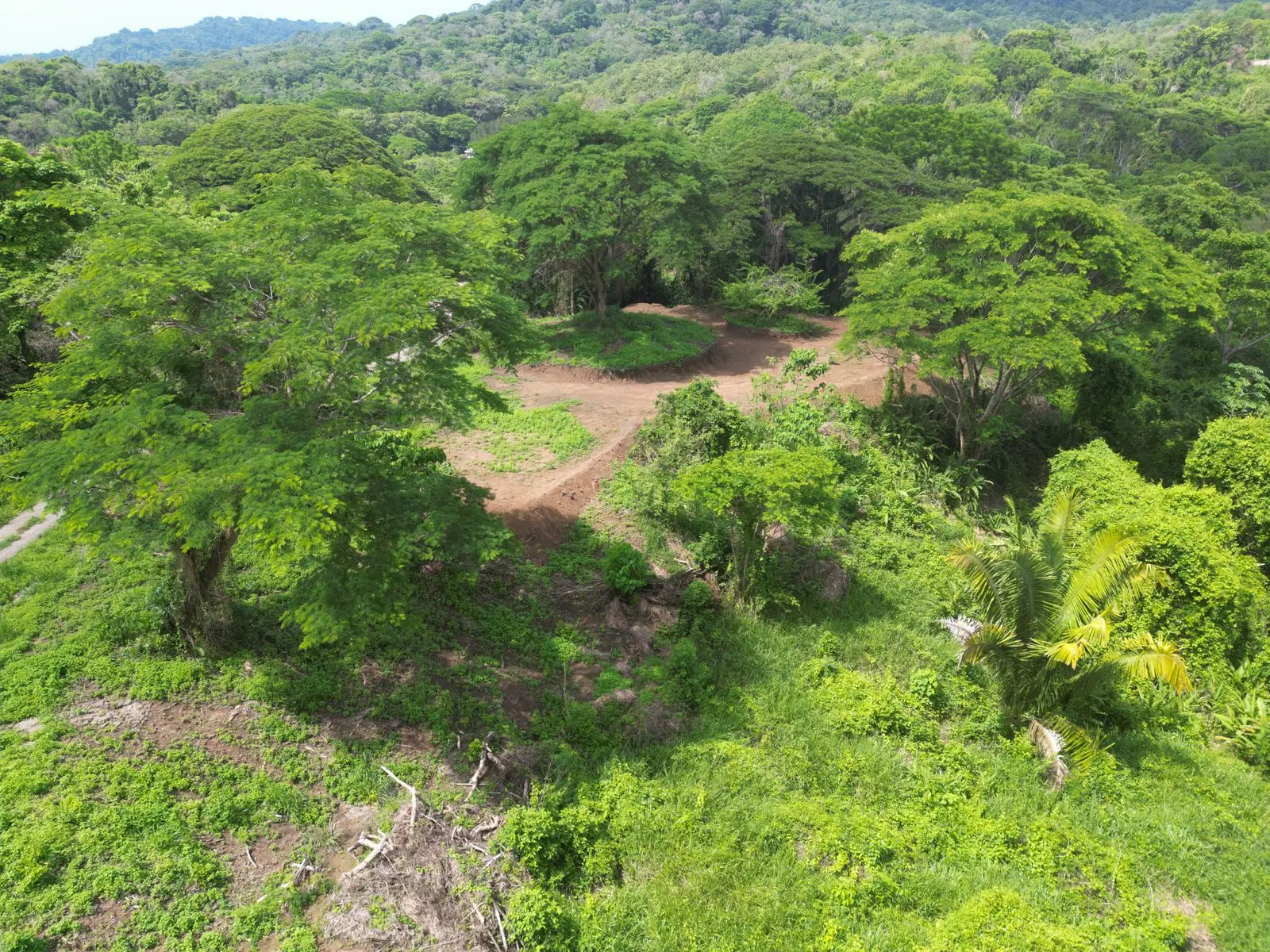 Enchanting 9,800 m² Land Surrounded by Jungle and Nature. A Peaceful Retreat Near Santa Teresa, Mal País, and Cabuya - image 7