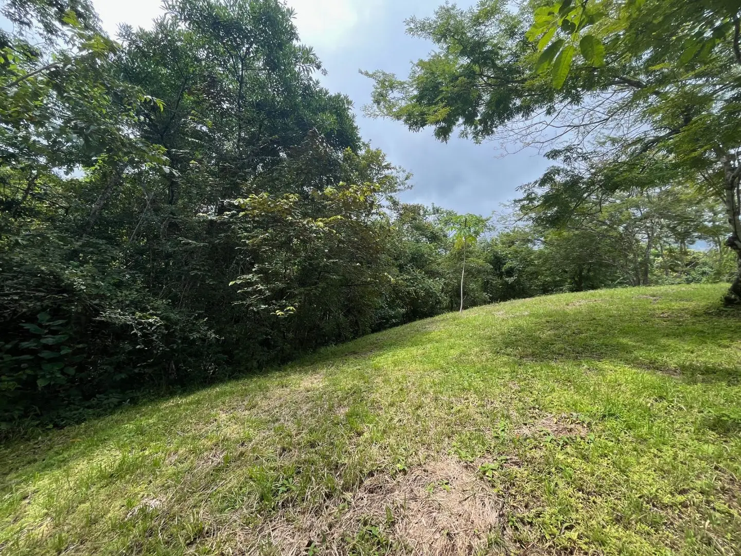 Beautiful Ready to Build Lot in Delicias,  Great Price with Project and Permits included - image 6