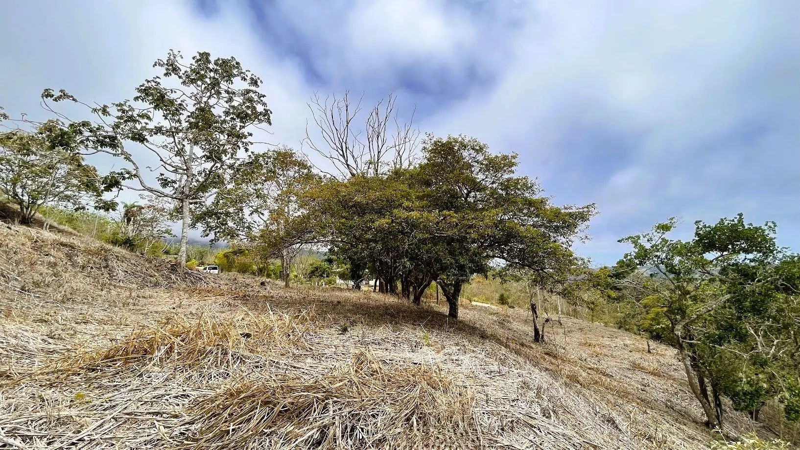 LOT FOR SALE - SAN PEDRO, SAN RAMON  - image 13