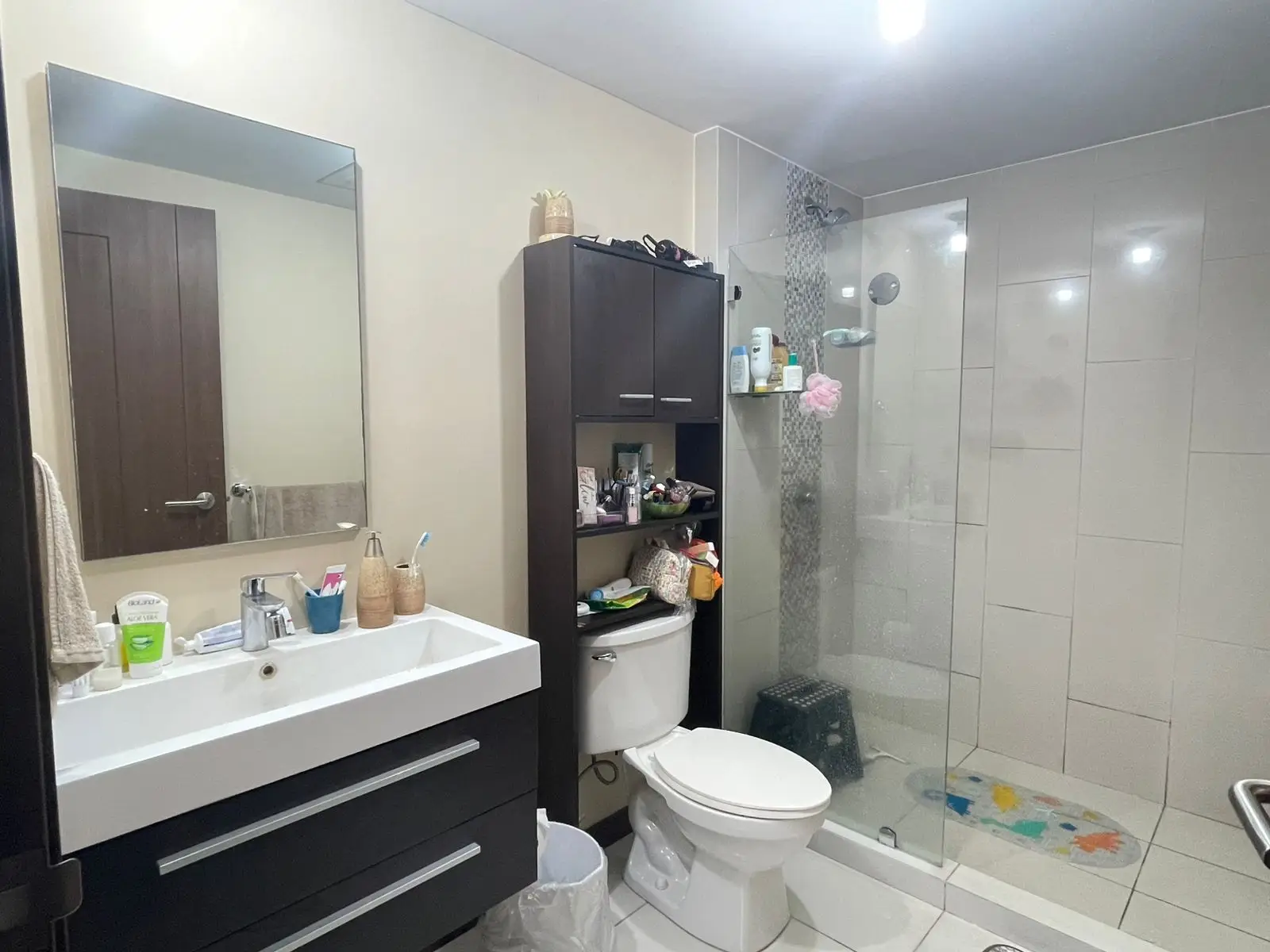 Modern 2-Bedroom Condo in La Uruca - image 12