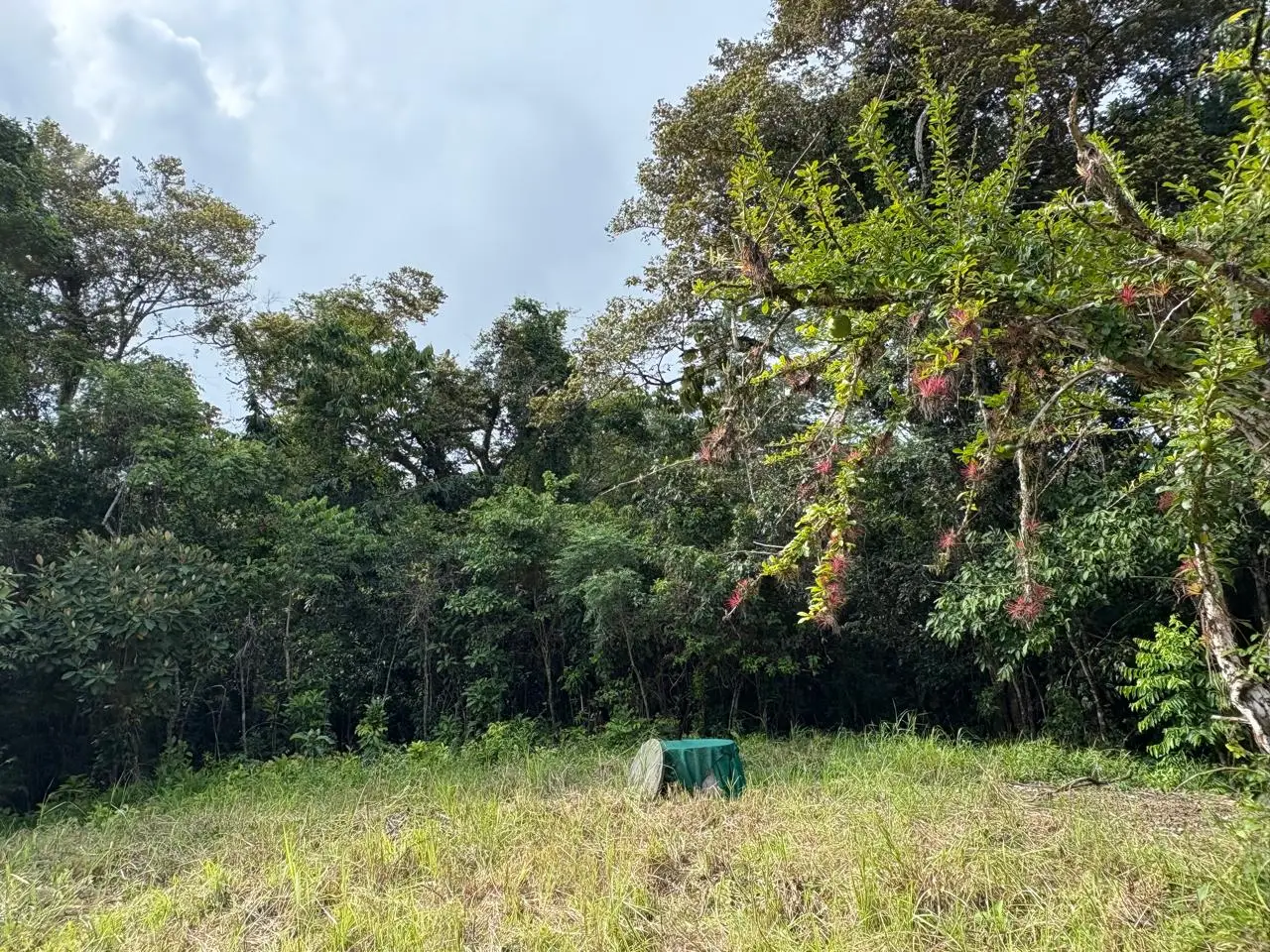 6,179 m² mixed-use land  in Delicias, minutes from  Montezuma and Santa Teresa - image 8