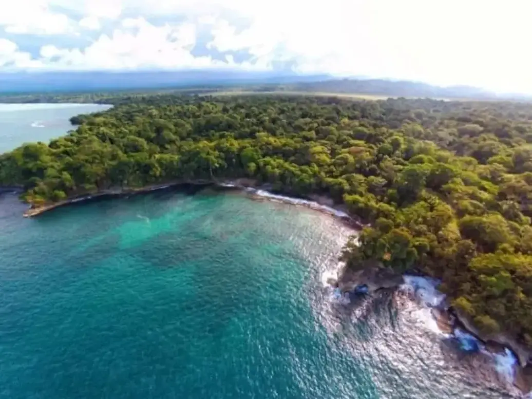 BEACHFRONT AND BIOLOGICAL RESERVE LAND IN LIMON - image 4