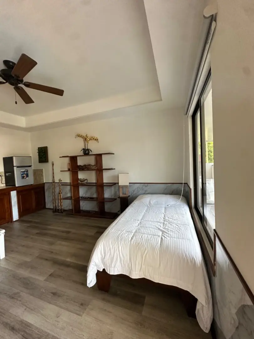 “Residencia de ensueño: 1 casa principal, 5 apartamentos, piscina ,2 ranchos y 2 parqueos grandes ” - image 8