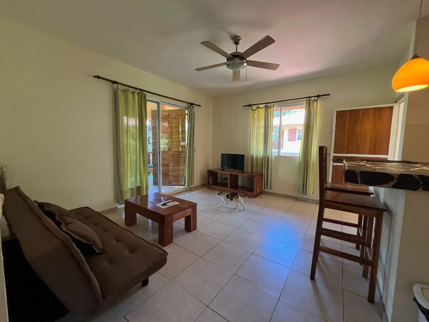 Santa Teresa Apartments and House with Pool, Income Property Steps from the Beach - image 5