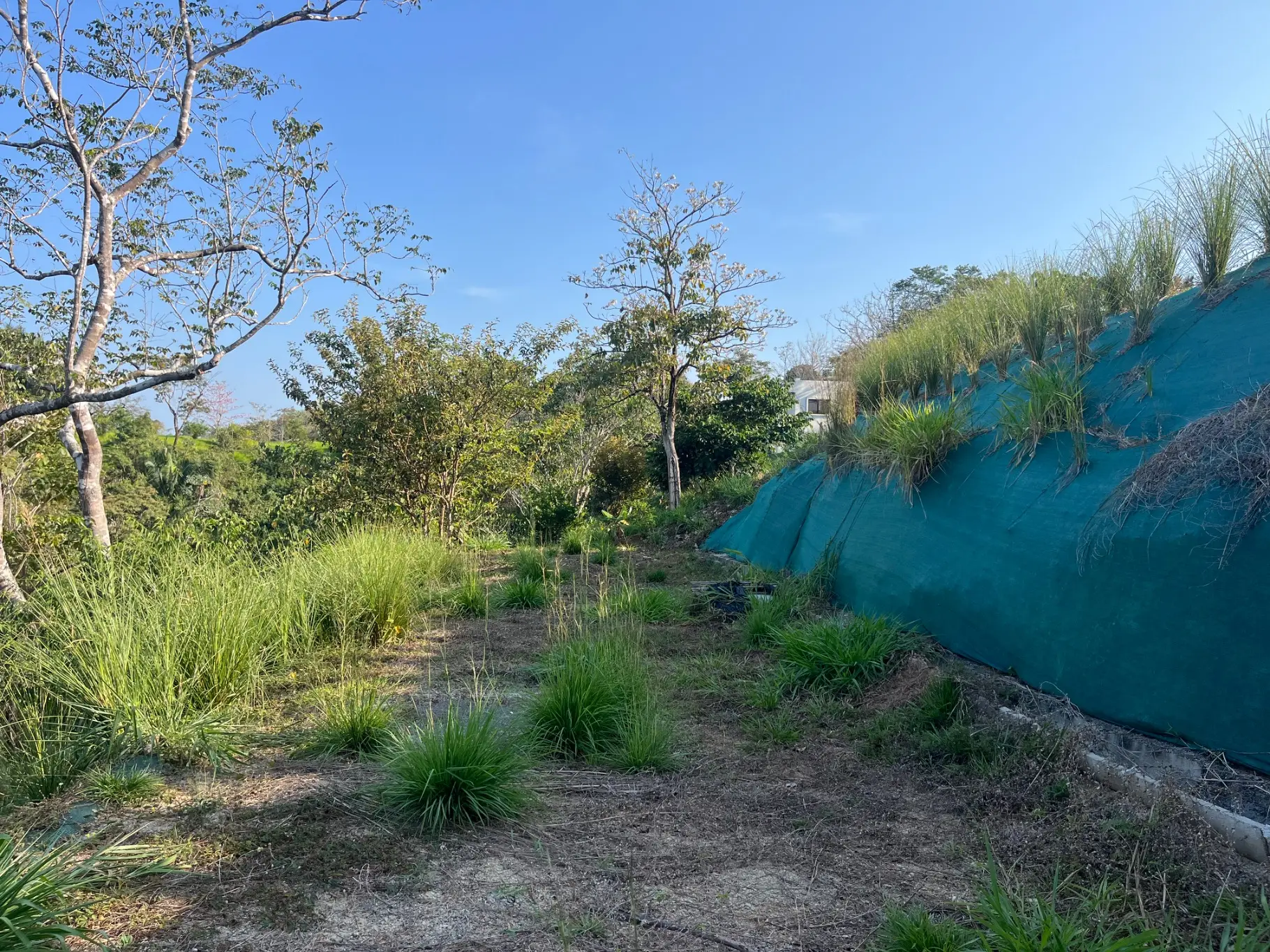 Lot with three building sites minutes to Hermosa in quiet neighborhood  - image 12