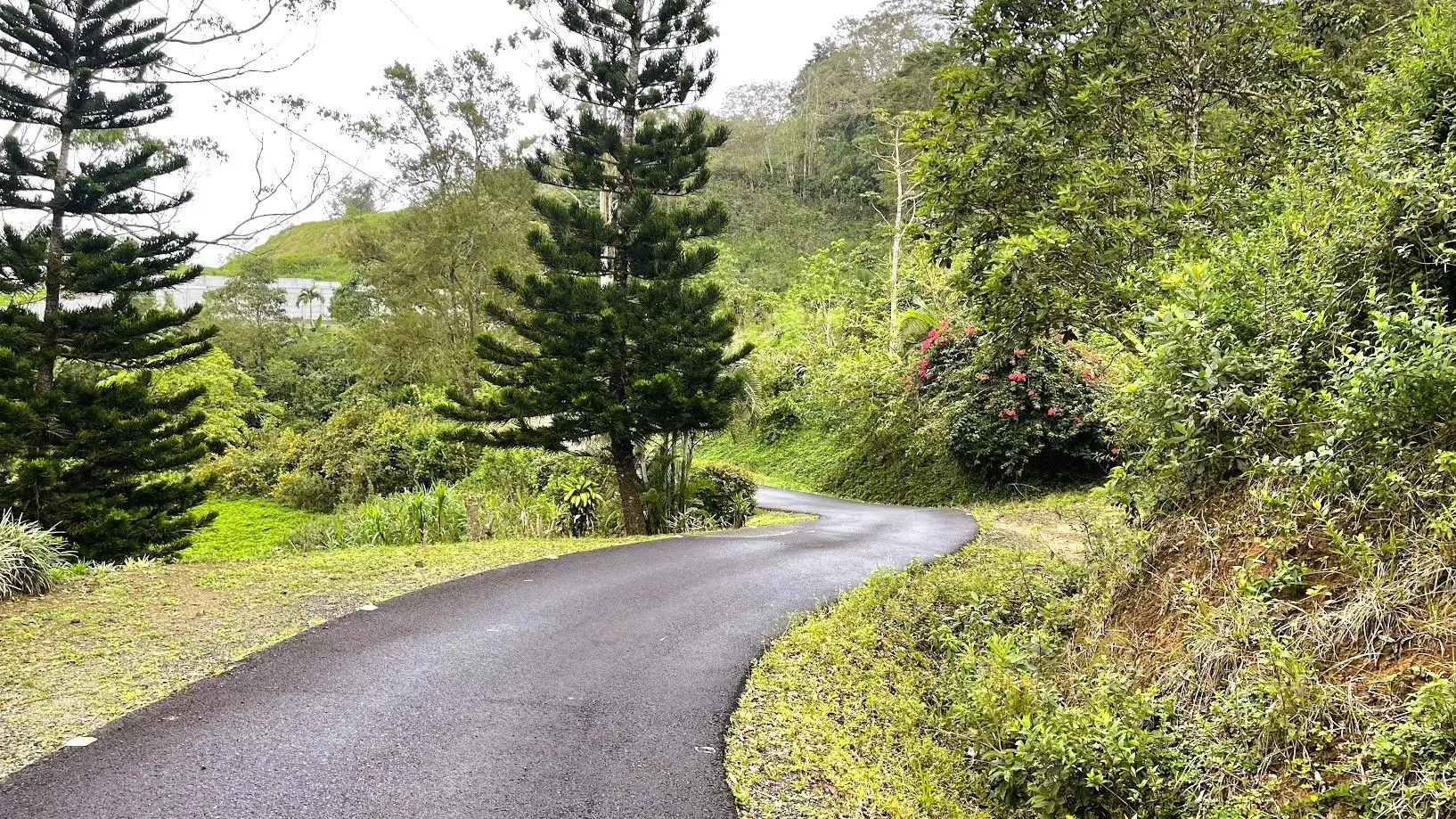 OCEAN VIEW LOT FOR SALE IN SANTIAGO, SAN RAMON - image 5