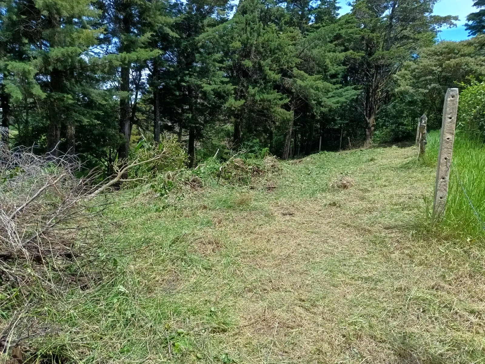 Prime Lot in Santa Elena, Monte Verde - Build Your Dream! - image 5