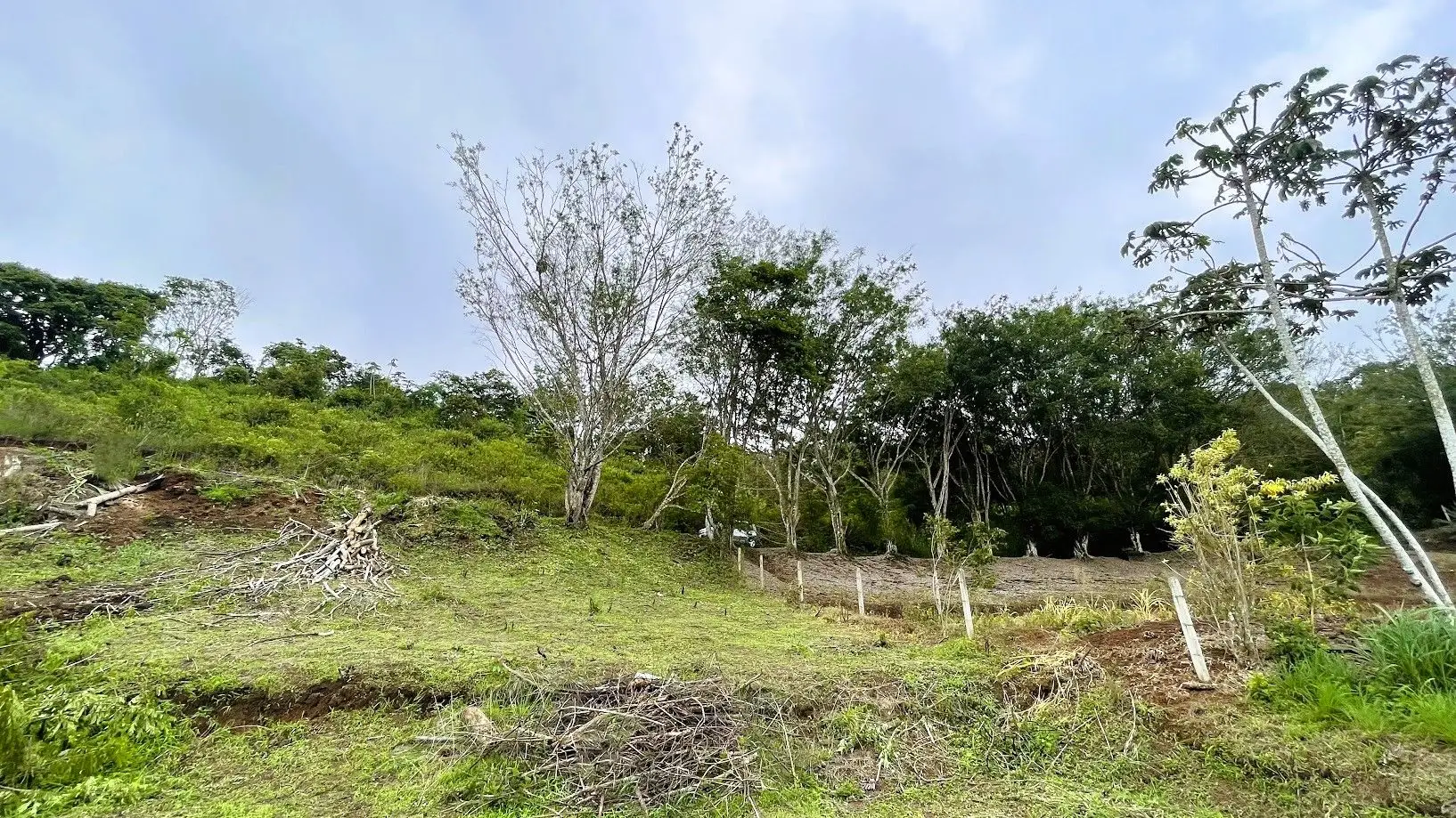 LOT FOR SALE IN SAN PEDRO, SAN RAMON - image 10
