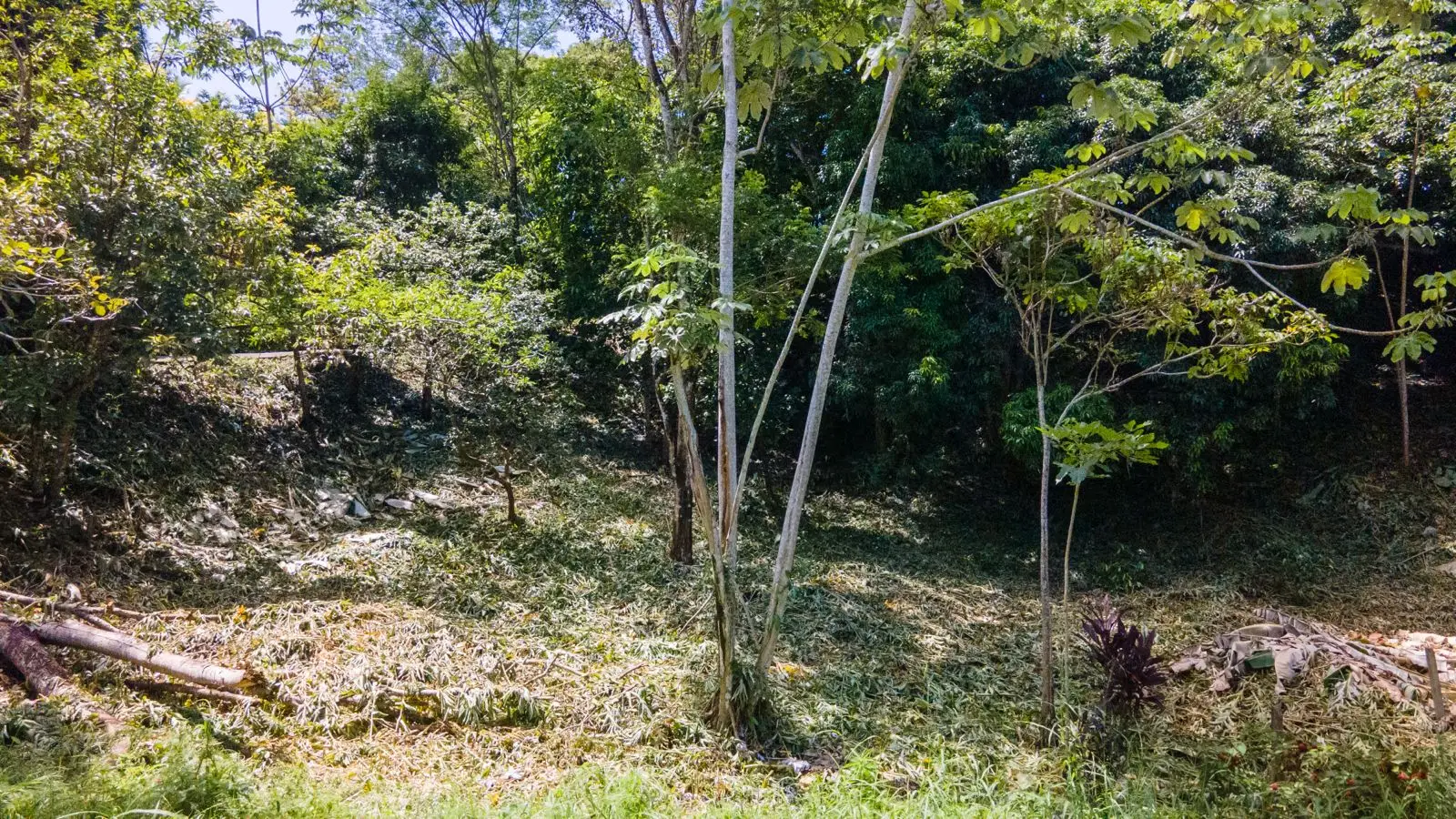 Beautiful lot of land in Playa Jaco - image 13