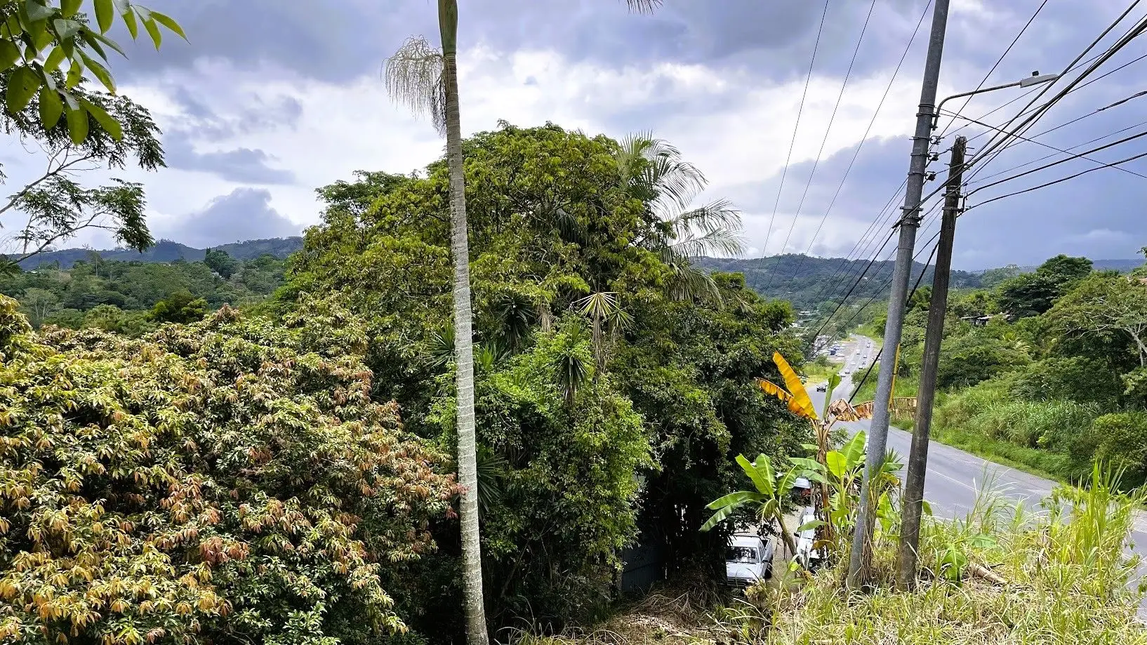 LAND FOR SALE IN SAN MIGUEL, NARANJO  - image 2