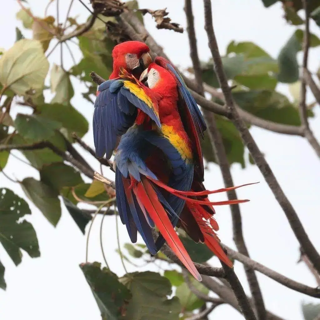 Strategically Located  Lot in Las Monas, Jacó – Near Beaches, Waterfalls & All Amenities - image 12