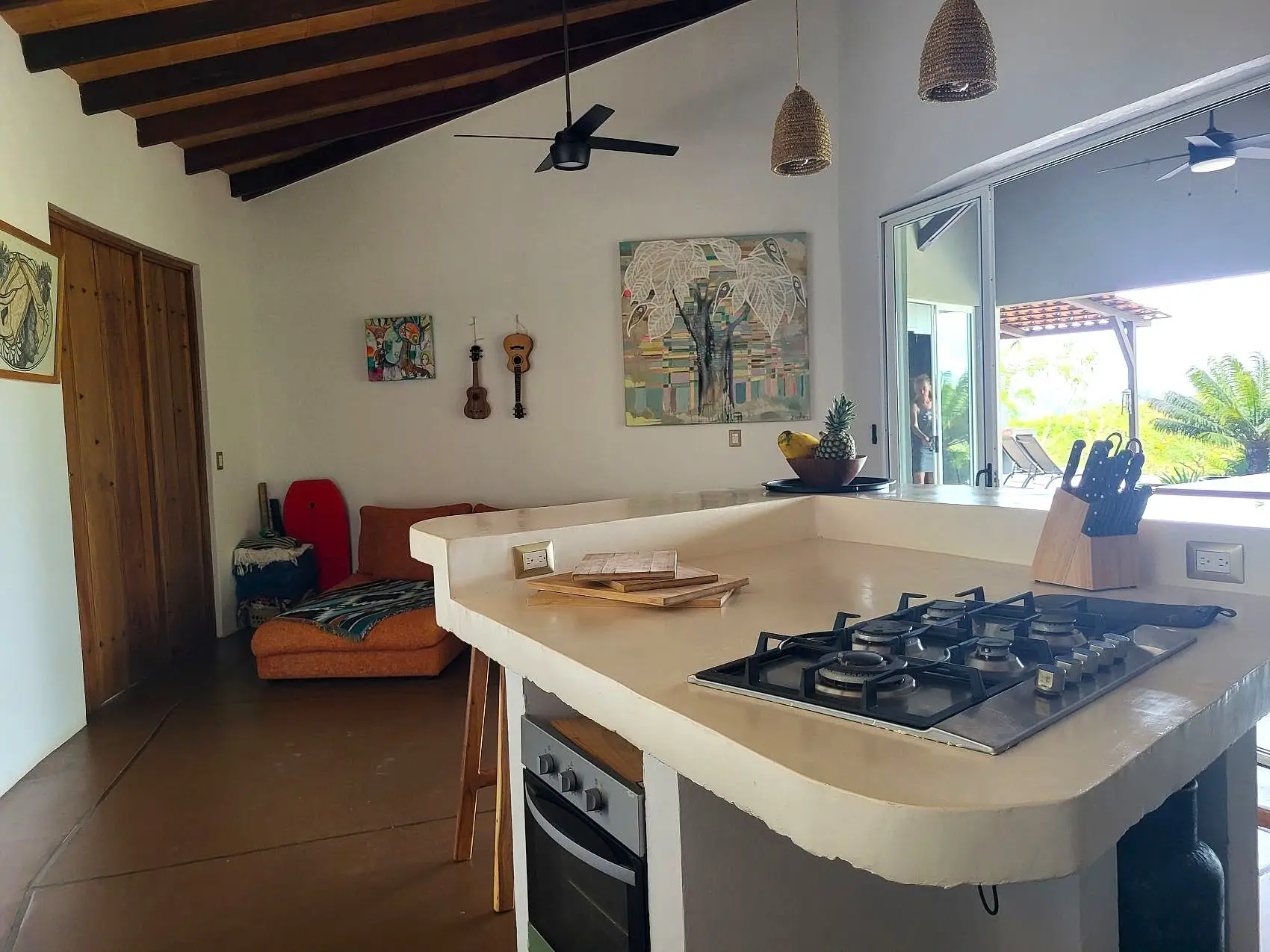 Luxury Ocean View Home in the Hacienda Okhra Gated Community - image 9