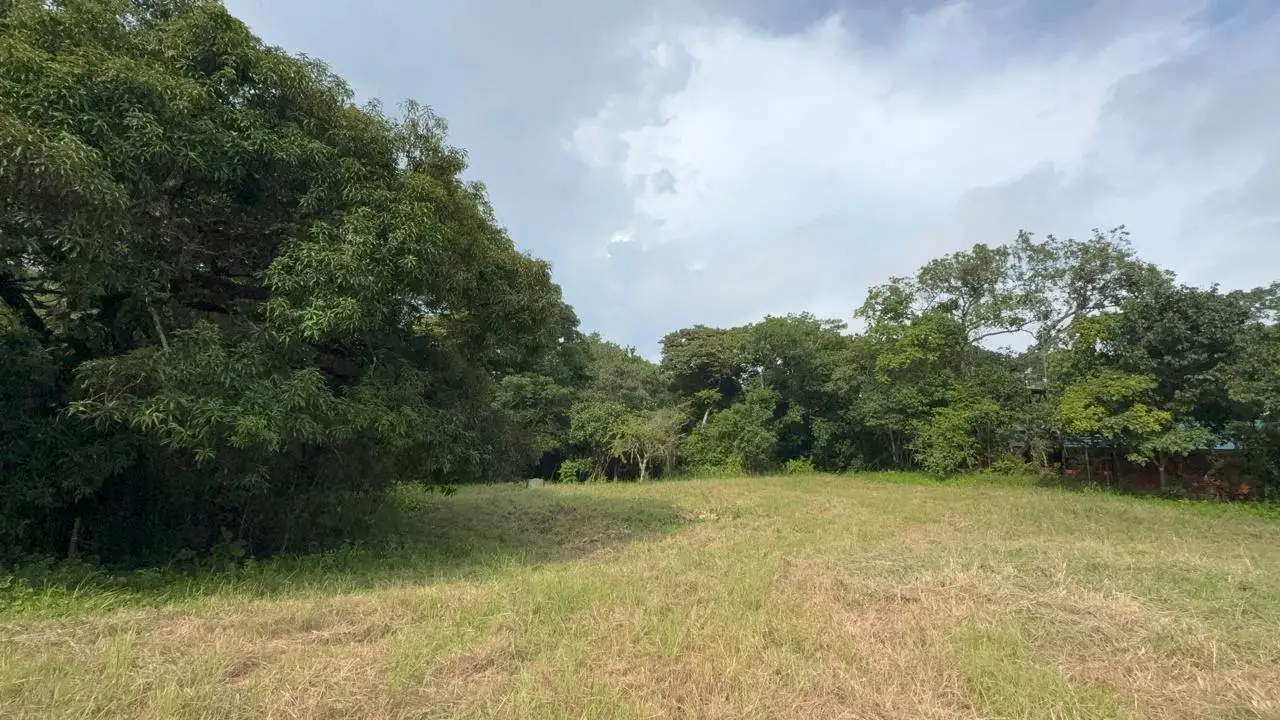 6,179 m² mixed-use land  in Delicias, minutes from  Montezuma and Santa Teresa - image 2