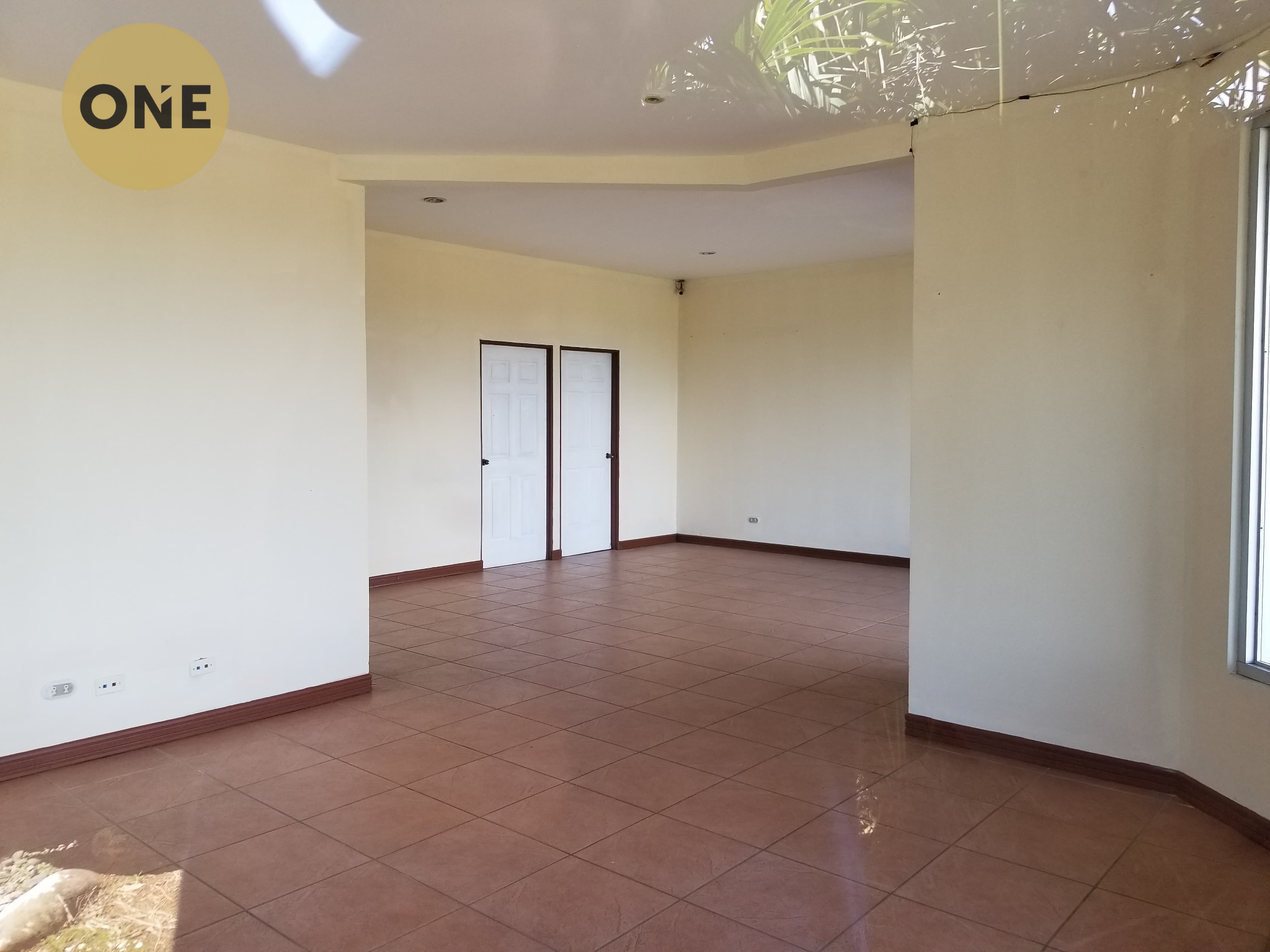 Solid investment in Limón: Consolidated commercial property in Siquirres - image 4