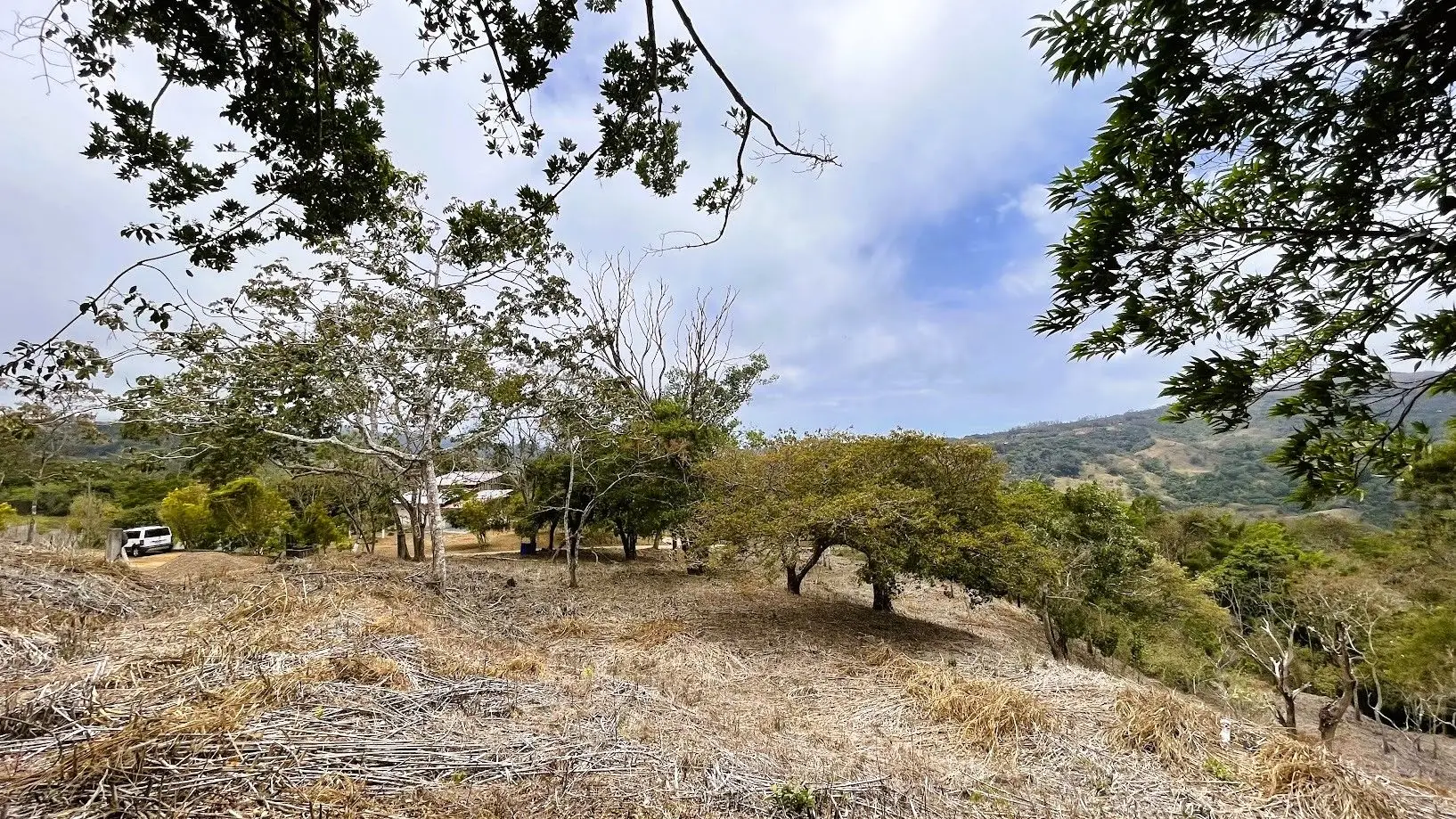 LOT FOR SALE - SAN PEDRO, SAN RAMON  - image 8