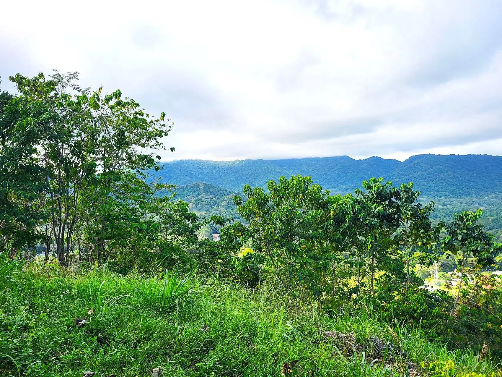 Mountaintop Ocean View Lot in Private, Gated Community Overlooking Tambor - image 5