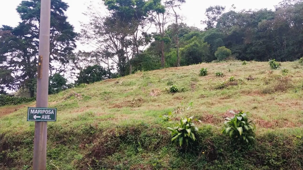 OCEAN VIEW LOT FOR SALE IN SANTIAGO, SAN RAMON - image 12