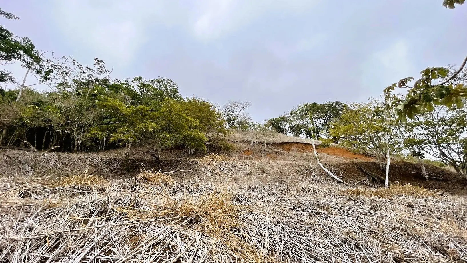 LOT FOR SALE IN SAN PEDRO, SAN RAMON - image 14