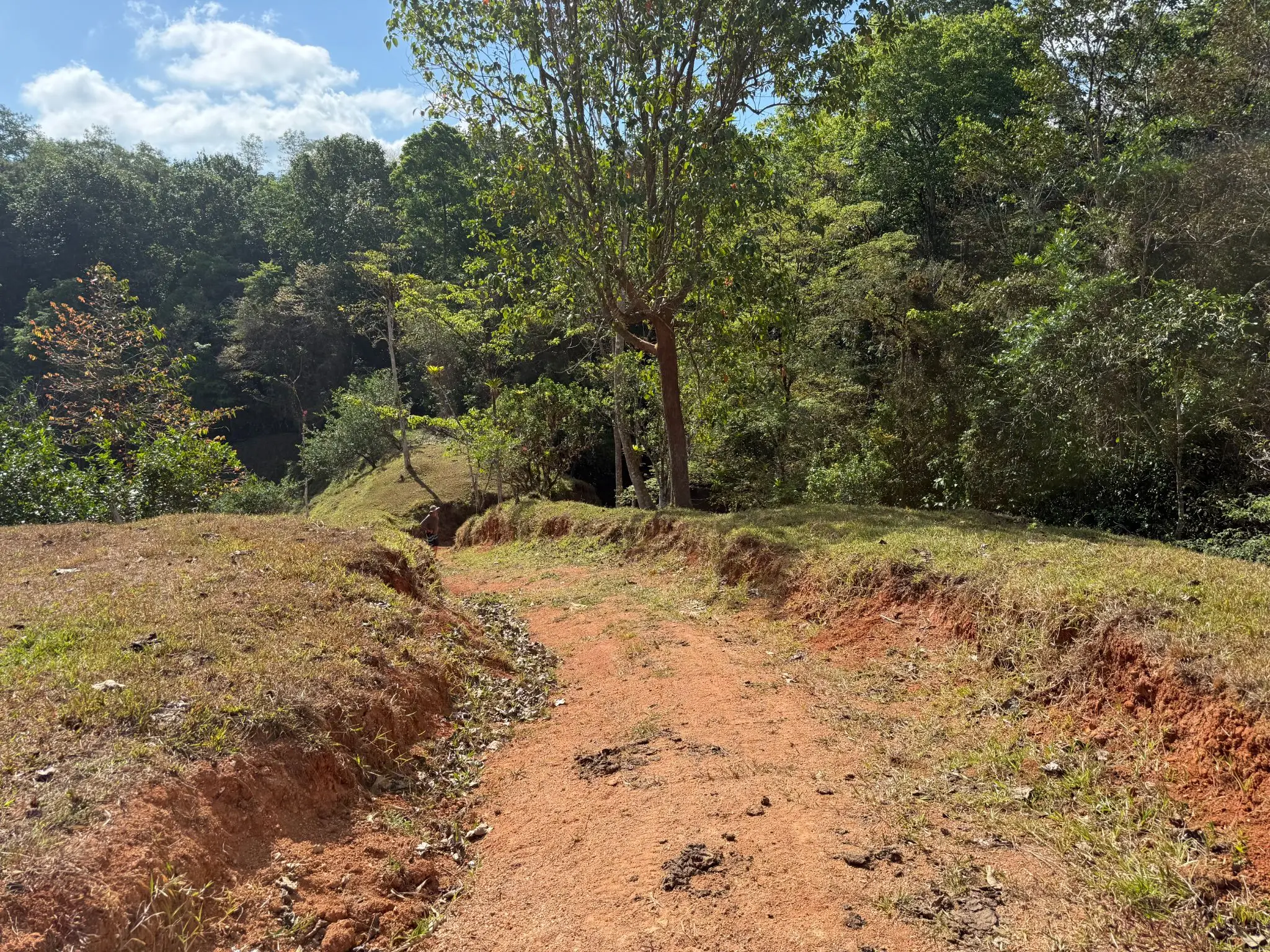 Eco-Luxury Mountain Santuary  11.48 Hectares of Pristine Paradise: Lush Forest, River & Farm Potential in Arenal Puriscal , San Jose  - image 15
