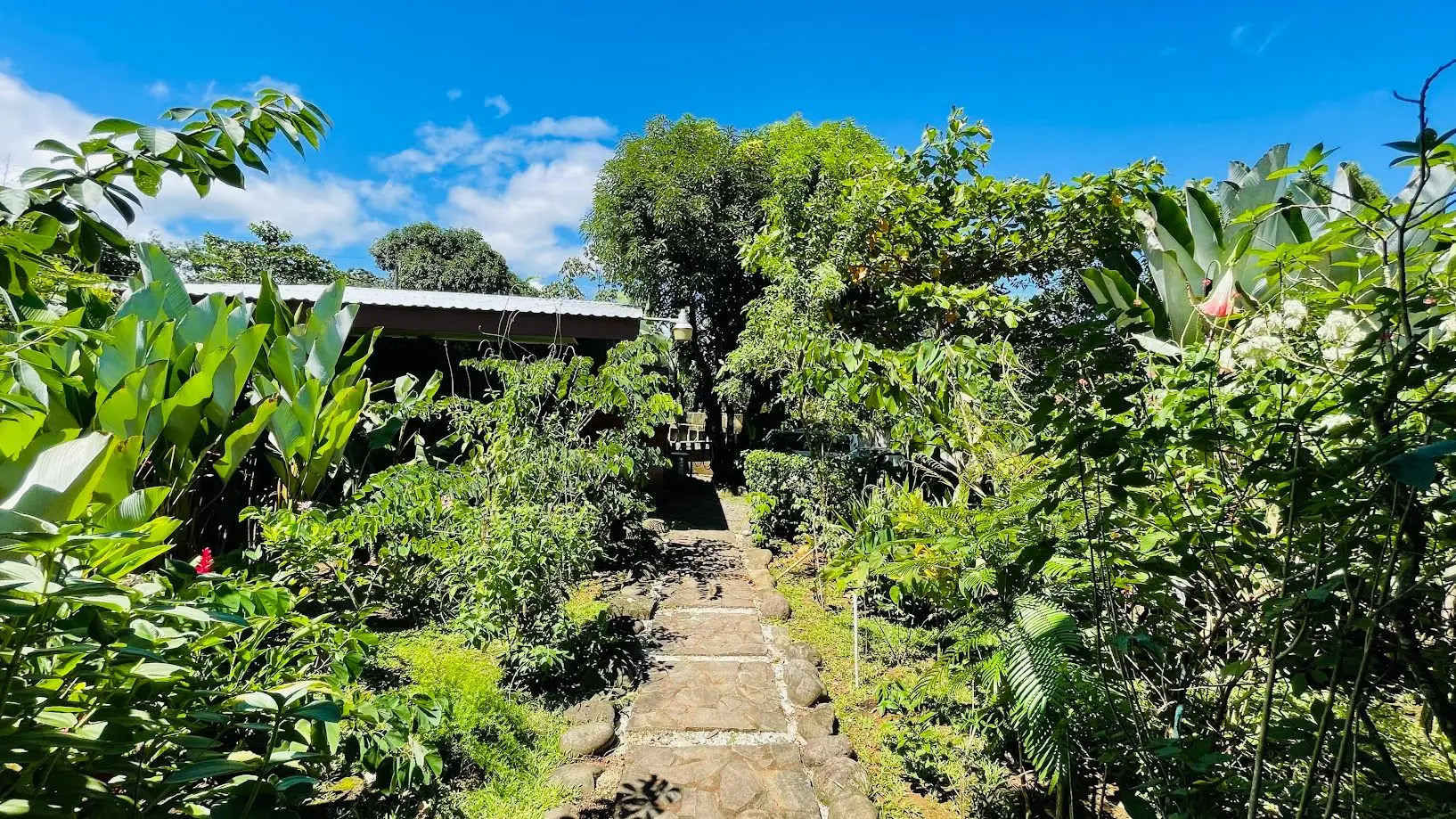 HOUSE FOR SALE IN VALLE AZUL – NEAR LA FORTUNA, COSTA RICA - image 10