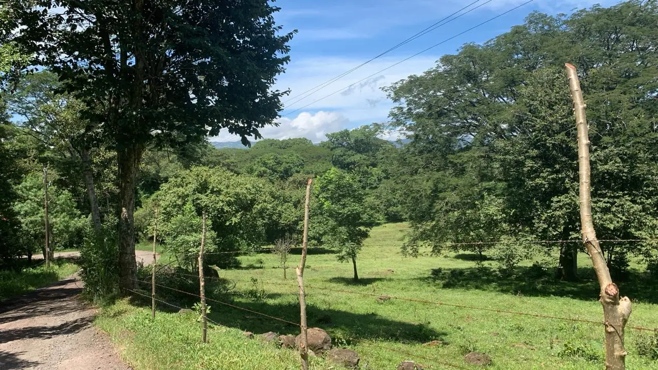 Expansive 2.77 Hectare Quinta in Scenic Turrúcares, Alajuela, Costa Rica - image 4