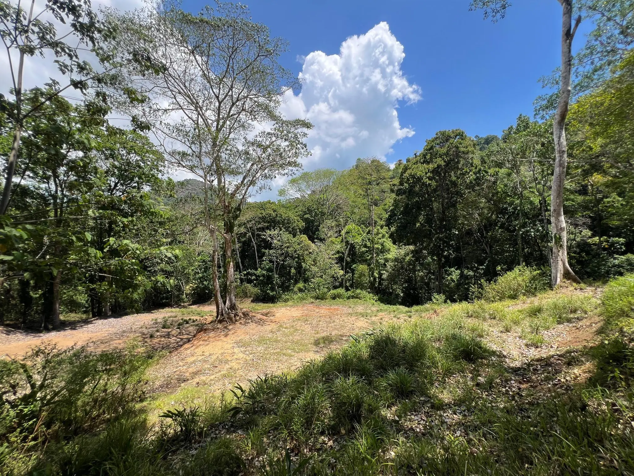Prime 5028sqm Development Lot in Jacó, Costa Rica – Endless Possibilities Await  - image 9