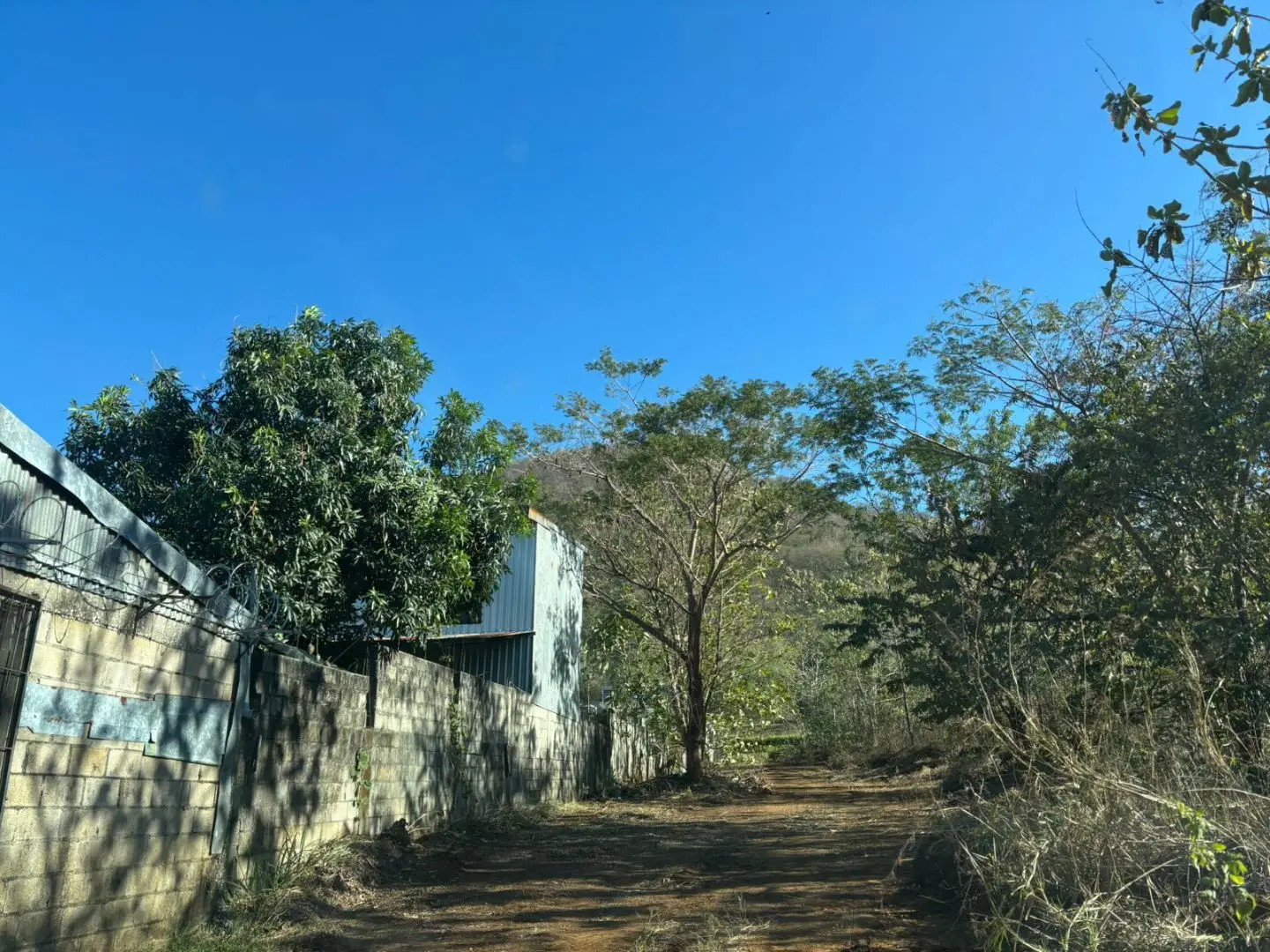 Expansive 7.3 Hectare Farm Land in Nicoya, Guanacaste – Prime Costa Rica Opportunity - image 2