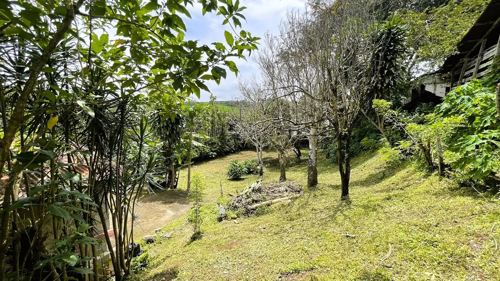 HOUSE & LARGE LOT FOR SALE IN SAN ISIDRO, SAN RAMON - image 2