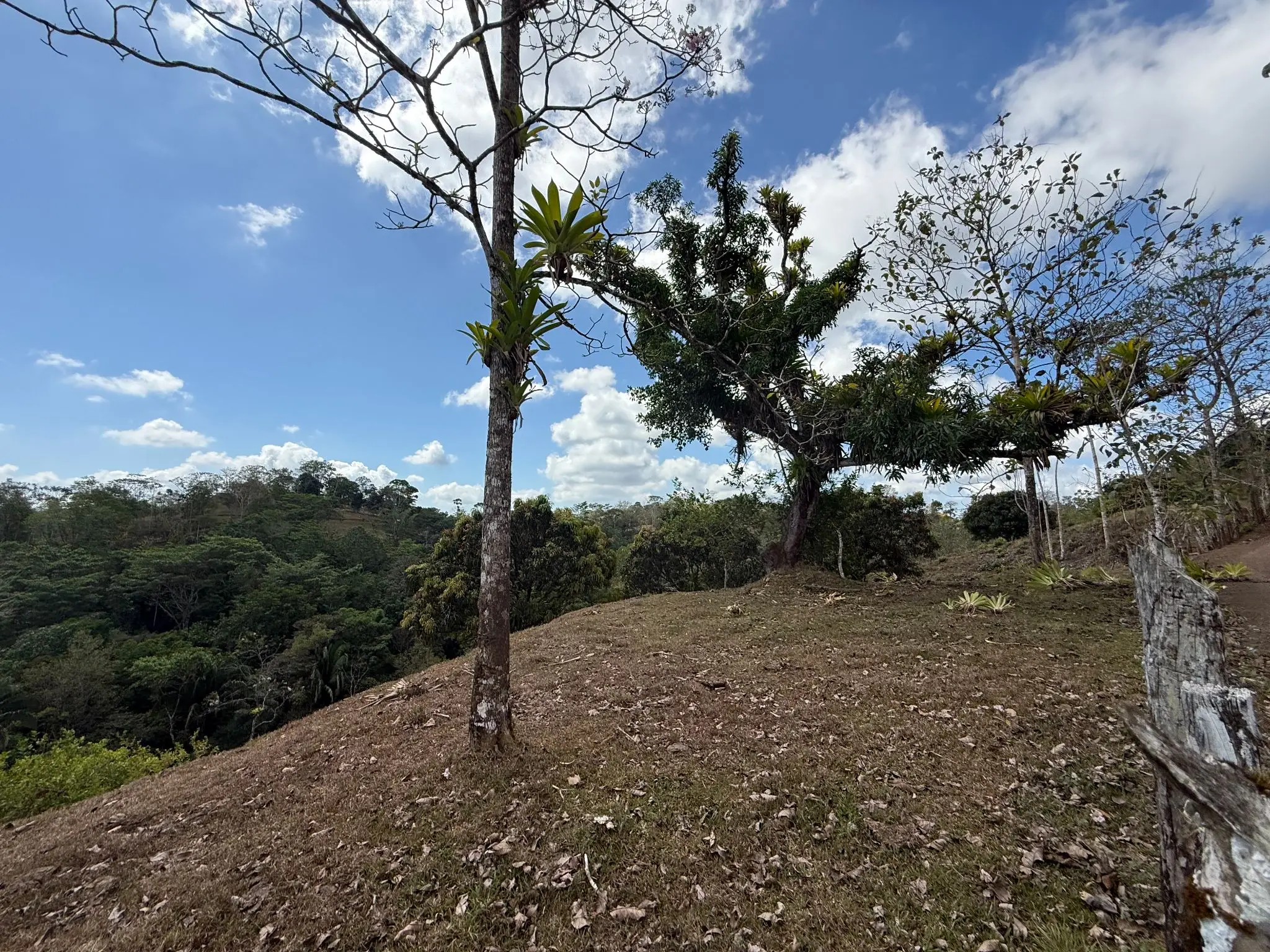 Eco-Luxury Mountain Santuary  11.48 Hectares of Pristine Paradise: Lush Forest, River & Farm Potential in Arenal Puriscal , San Jose  - image 7