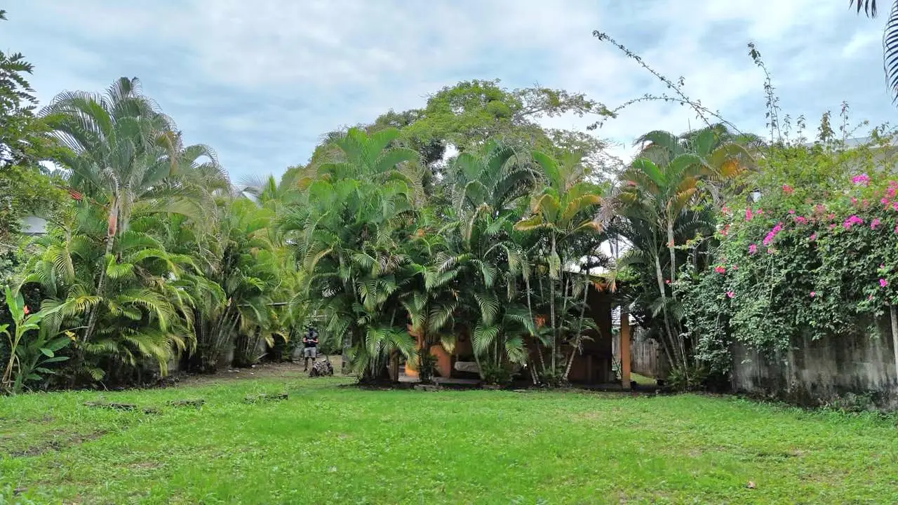 931 m² Development Lot on a Main Commercial Access Road in Jacó | Investment Opportunity - image 14